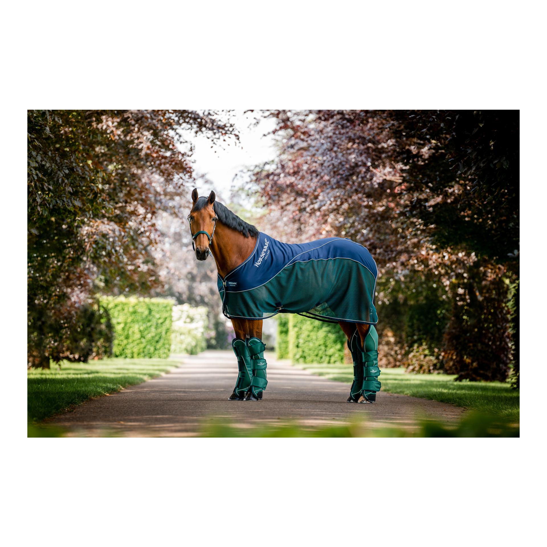 Horseware Abschwitzdecke Sport Cooler Signature und Transportgamaschen Signature Set