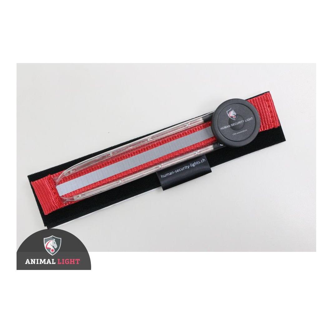 Animal Light Harnais lumineux pour chien "Flex" - rouge