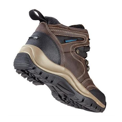 Stall- und Wanderschuhe Work & Go Trail WP
