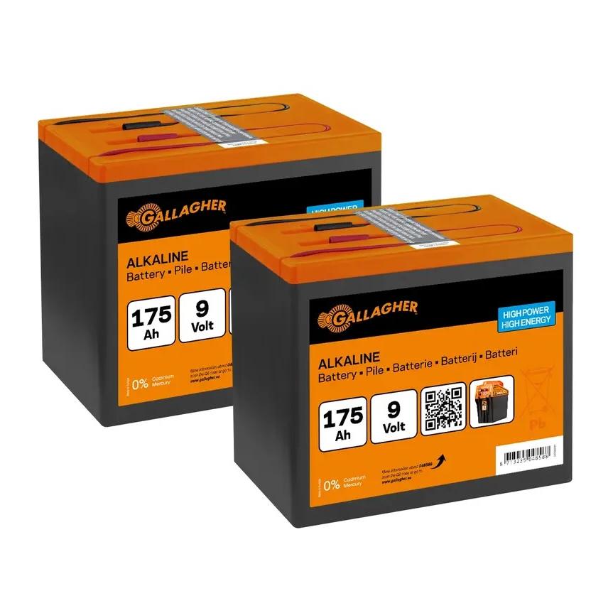 Pile alcaline duo