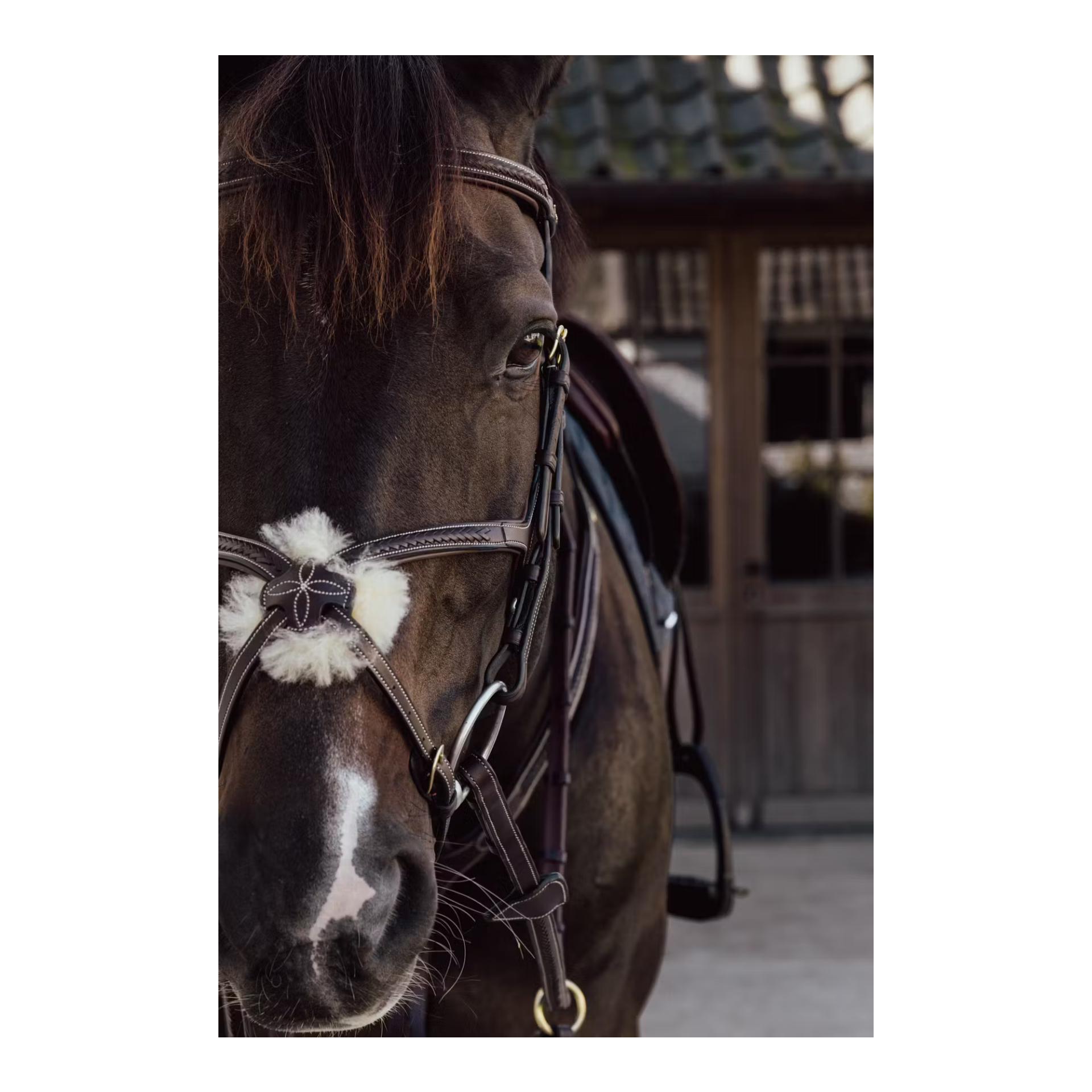 Dy'on Plaited Figure 8 Noseband D Collection