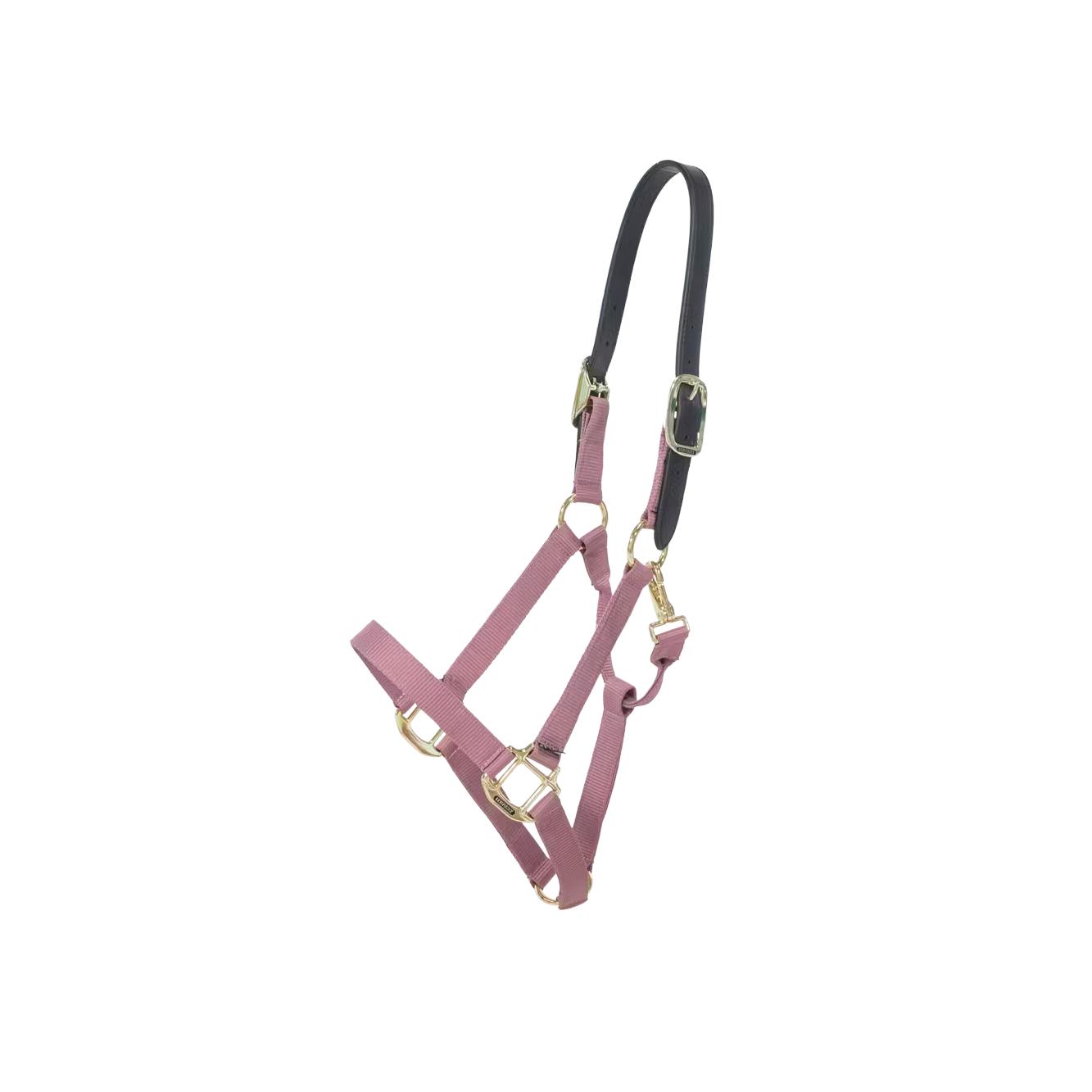 Kentucky Nylon Halfter Breakaway