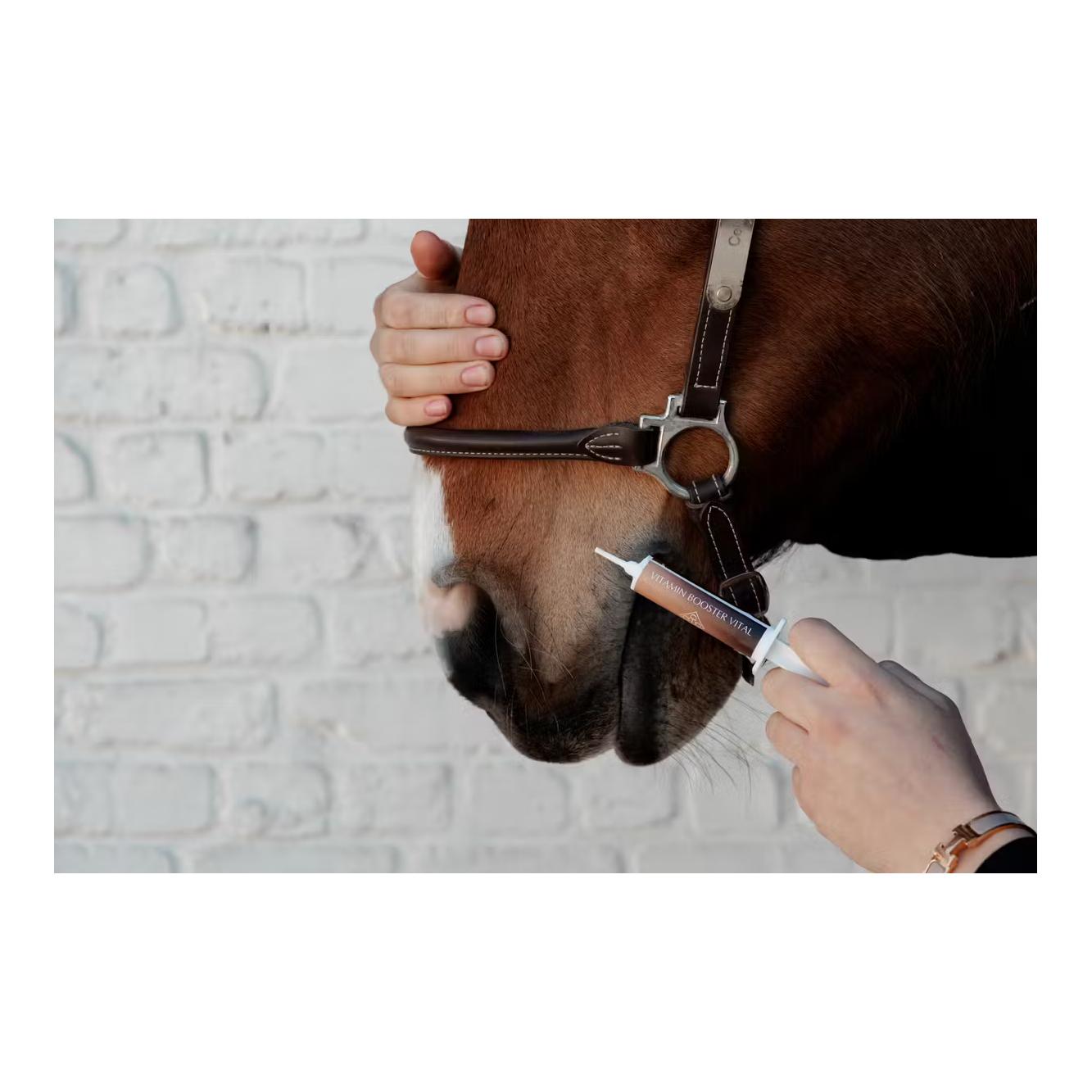 Grooming Deluxe GD Vitamin Booster Vital