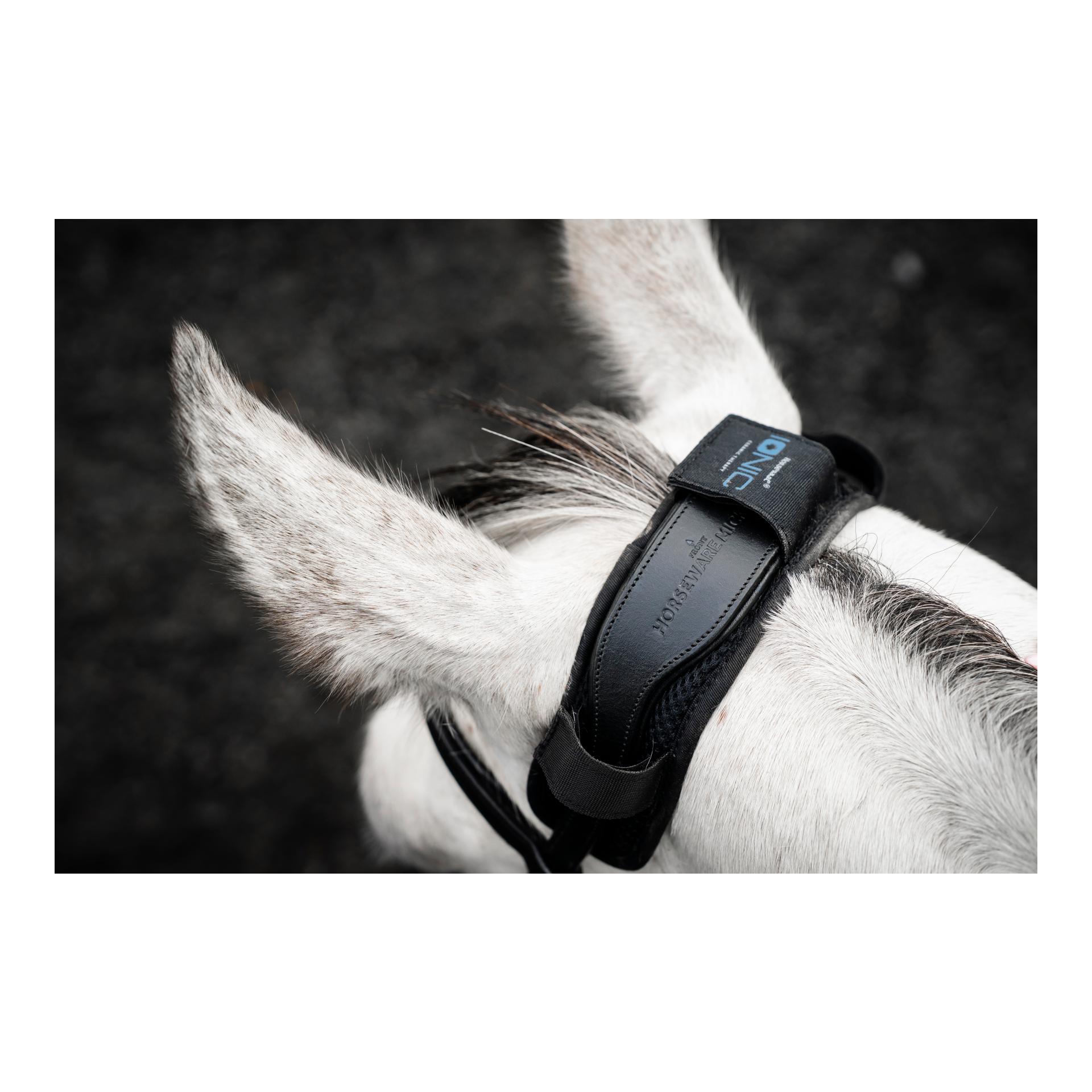Horseware Horseware Ionic Poll Cover