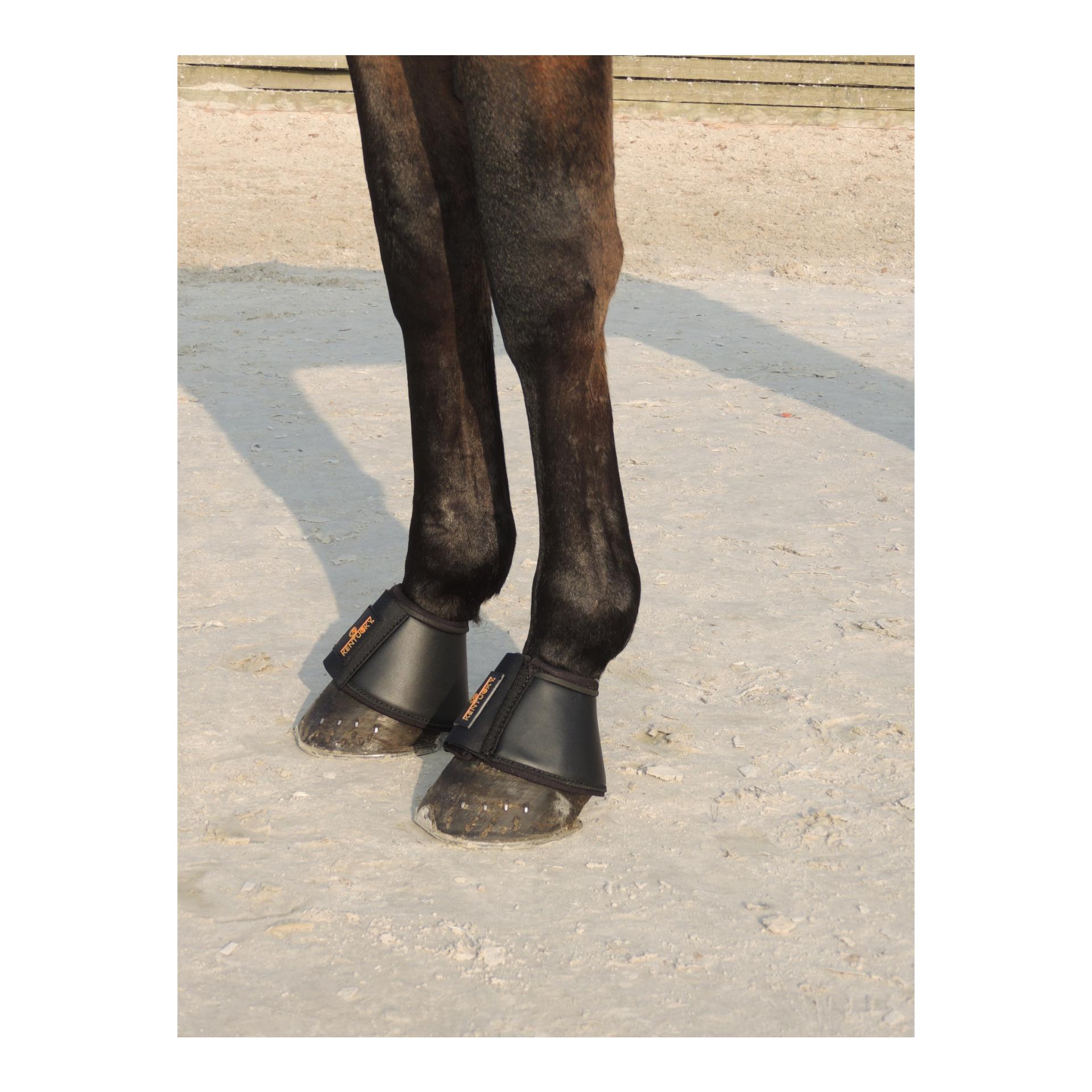 Kentucky Hufglocken Leder - schwarz