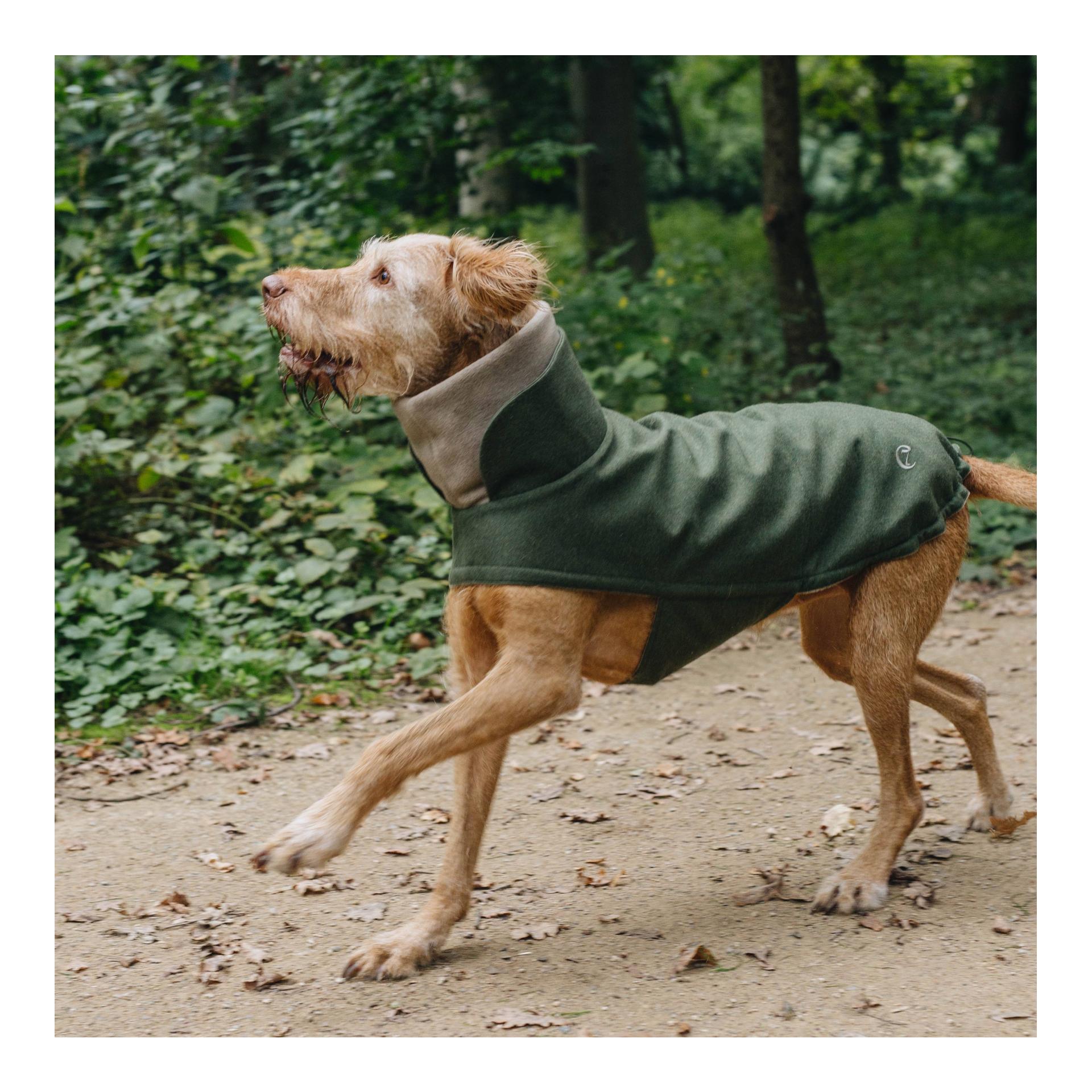Cloud 7 Manteau pour chien Brooklyn - fern green