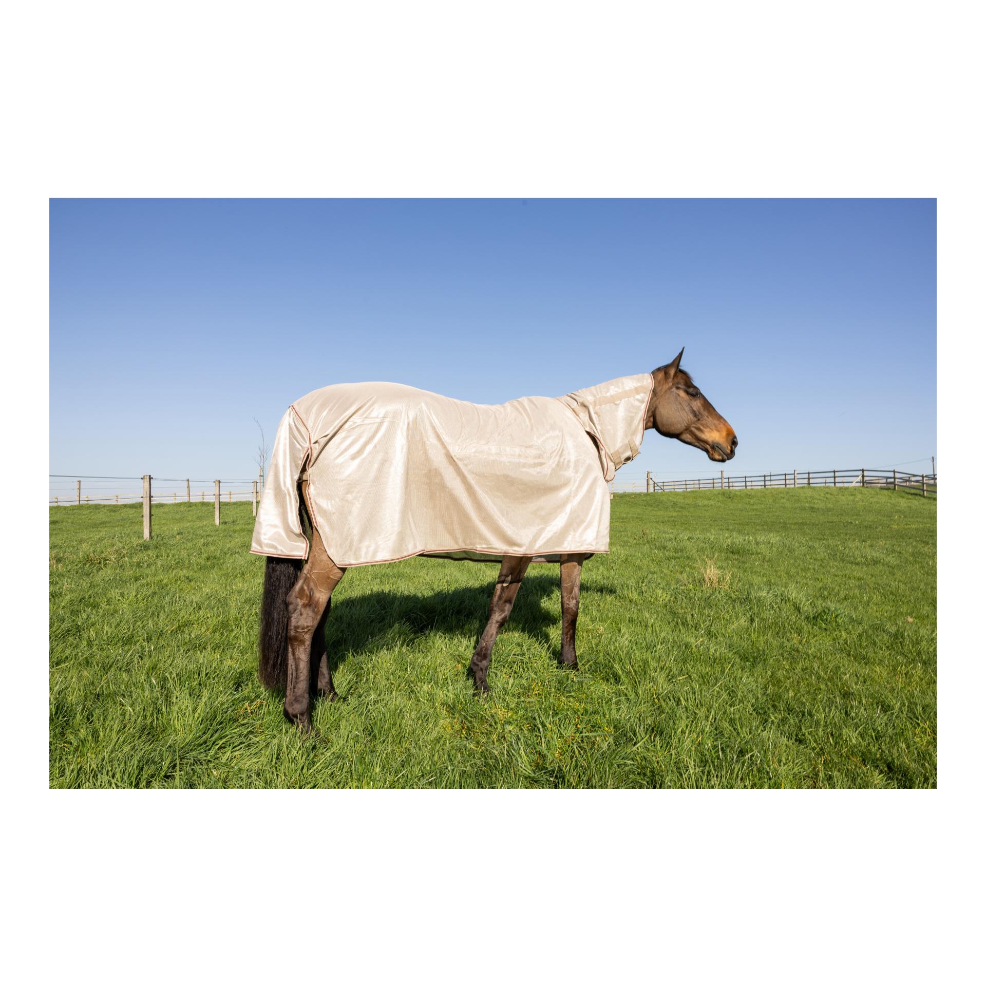 Kentucky Couverture anti-mouches Comfort Classic avec encolure et protection ventrale