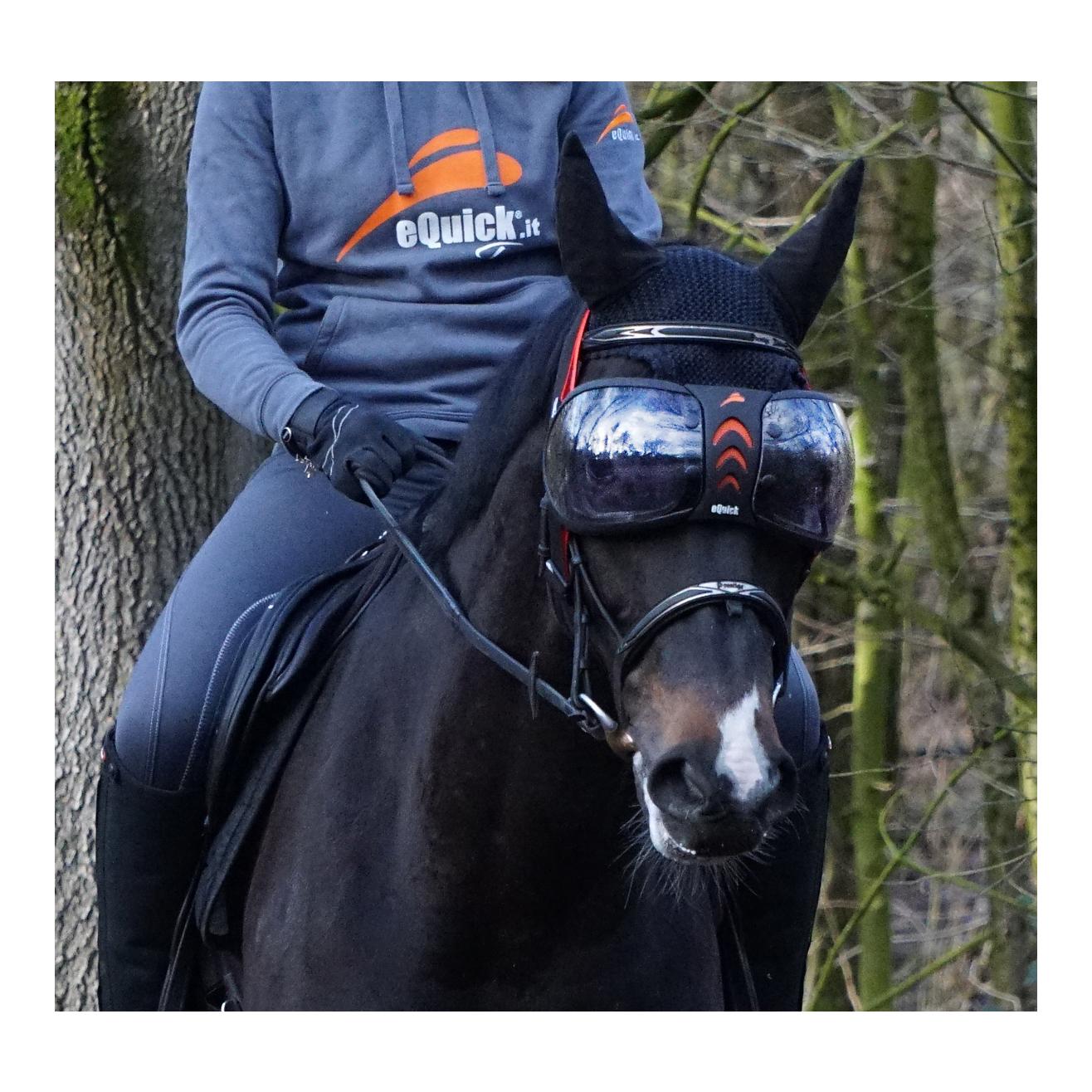 eQuick eVysor : protection oculaire pour chevaux avec protection anti-UV