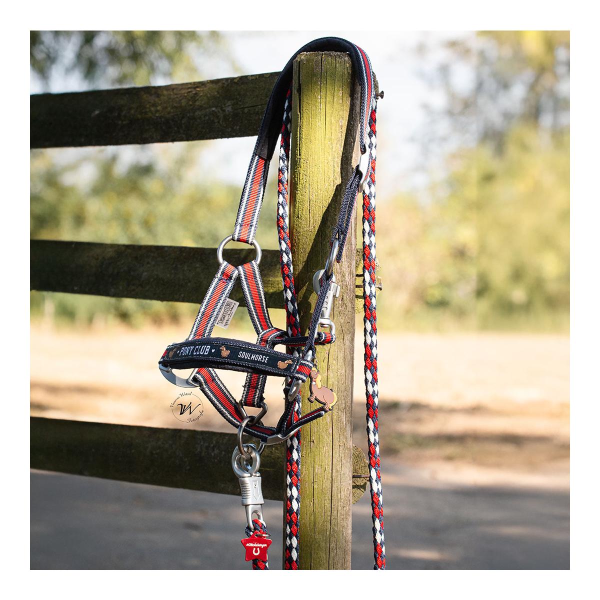 Soulhorse Halfter Dual Alu "Pony Club"