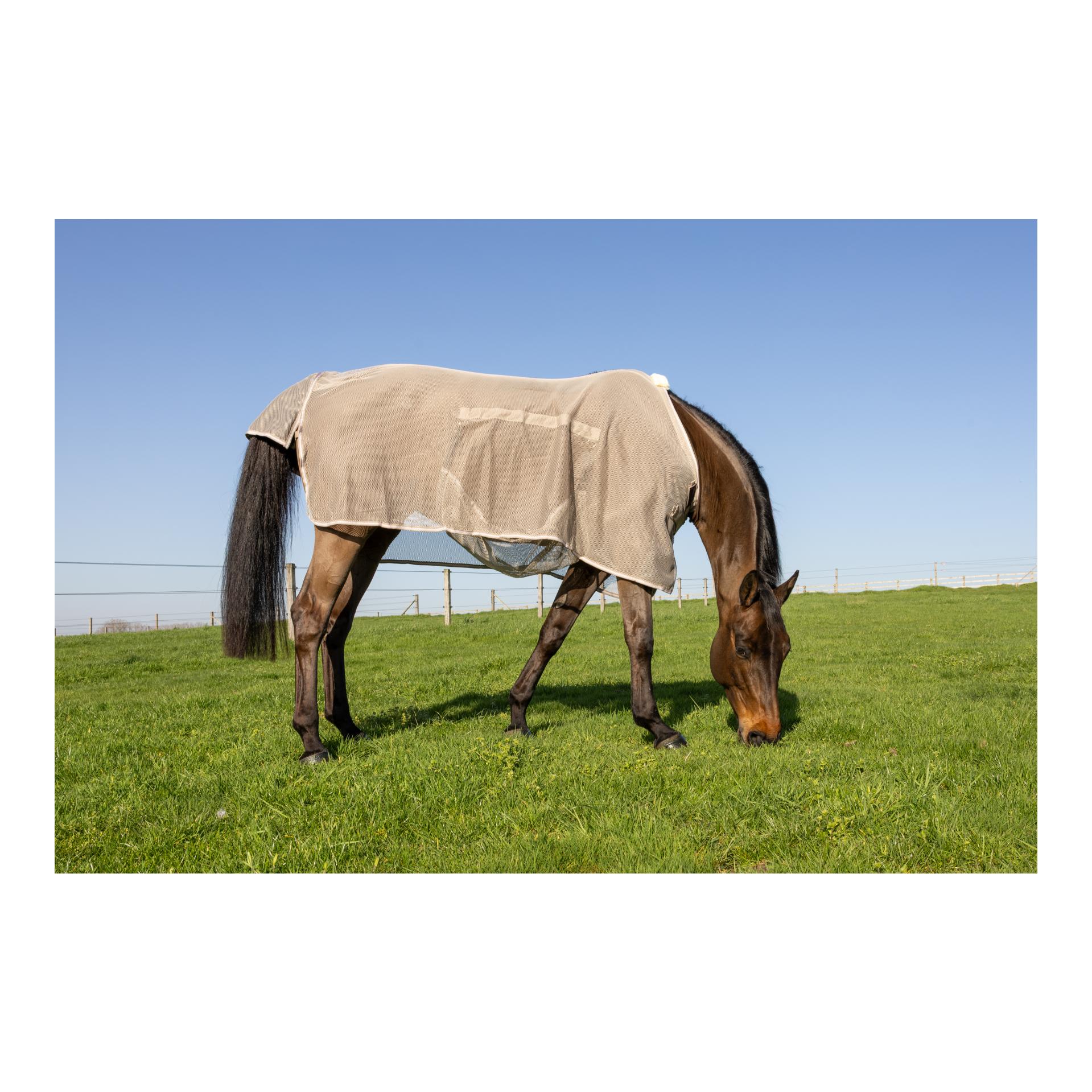 Kentucky Couverture anti-mouches avec protection ventrale Comfort