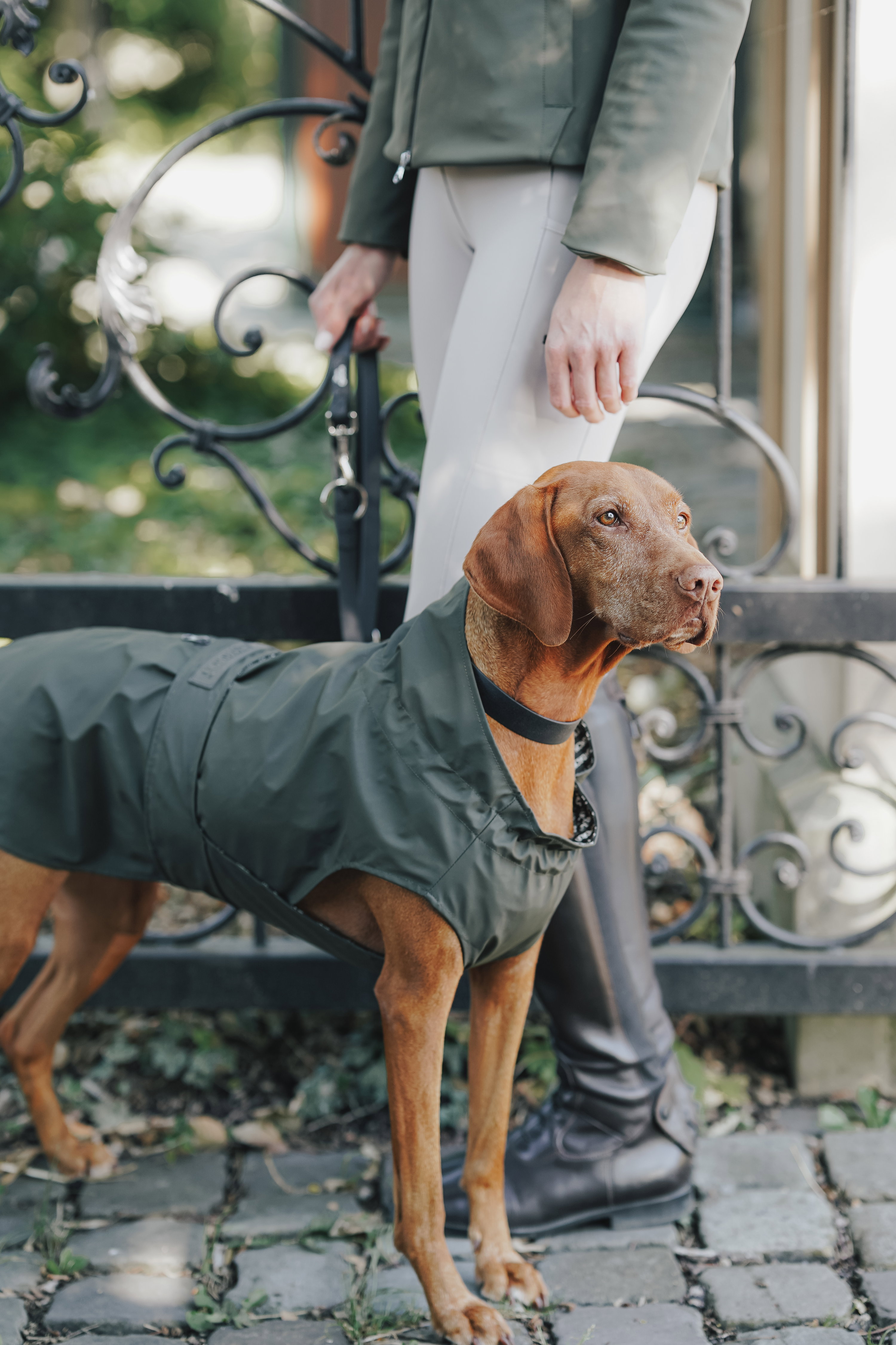 Eskadron Hunde Regenmantel Rainshield HUNTER