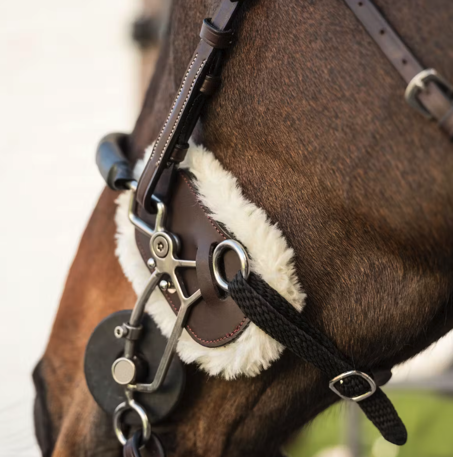 Dy'on Hackamore Schutz Lammfell