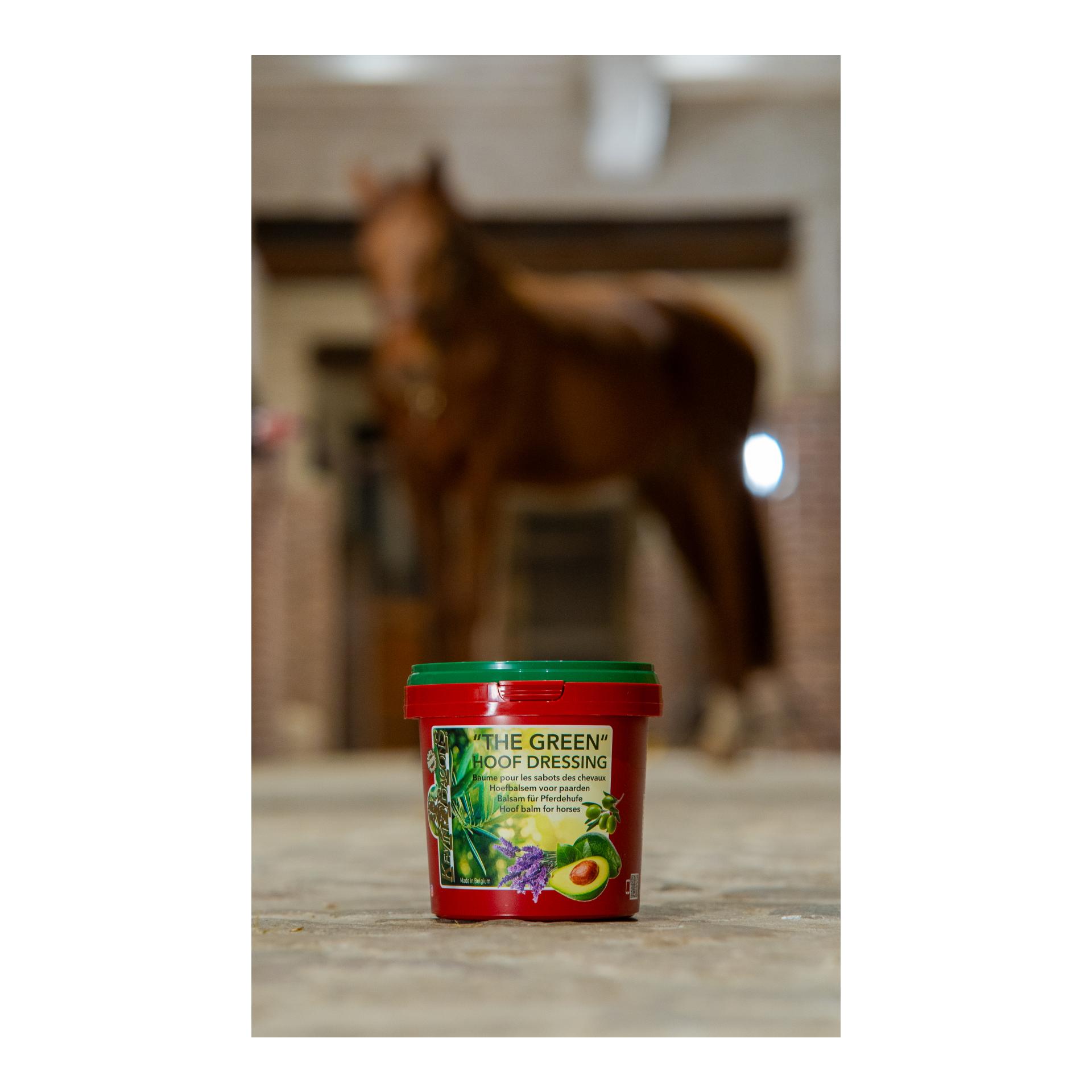 Kevin Bacons The Green Hoof Dressing