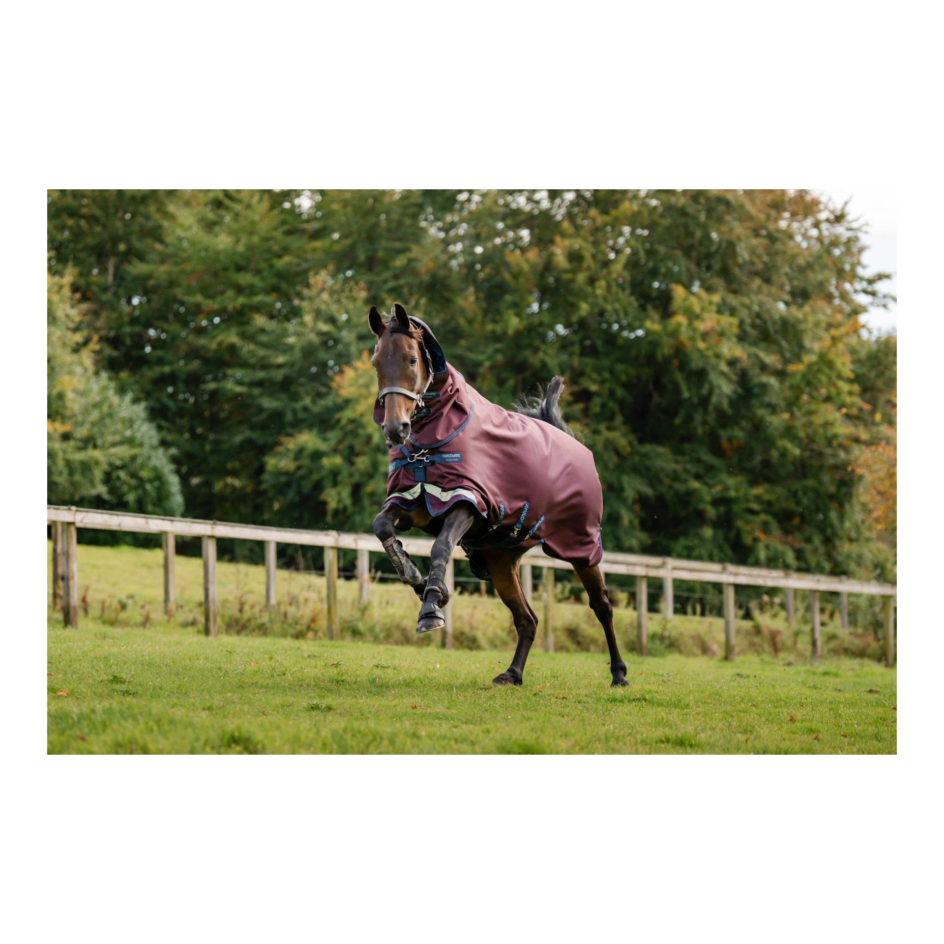 Horseware Weidedecke Amigo 1200D Plus Turnout 100g