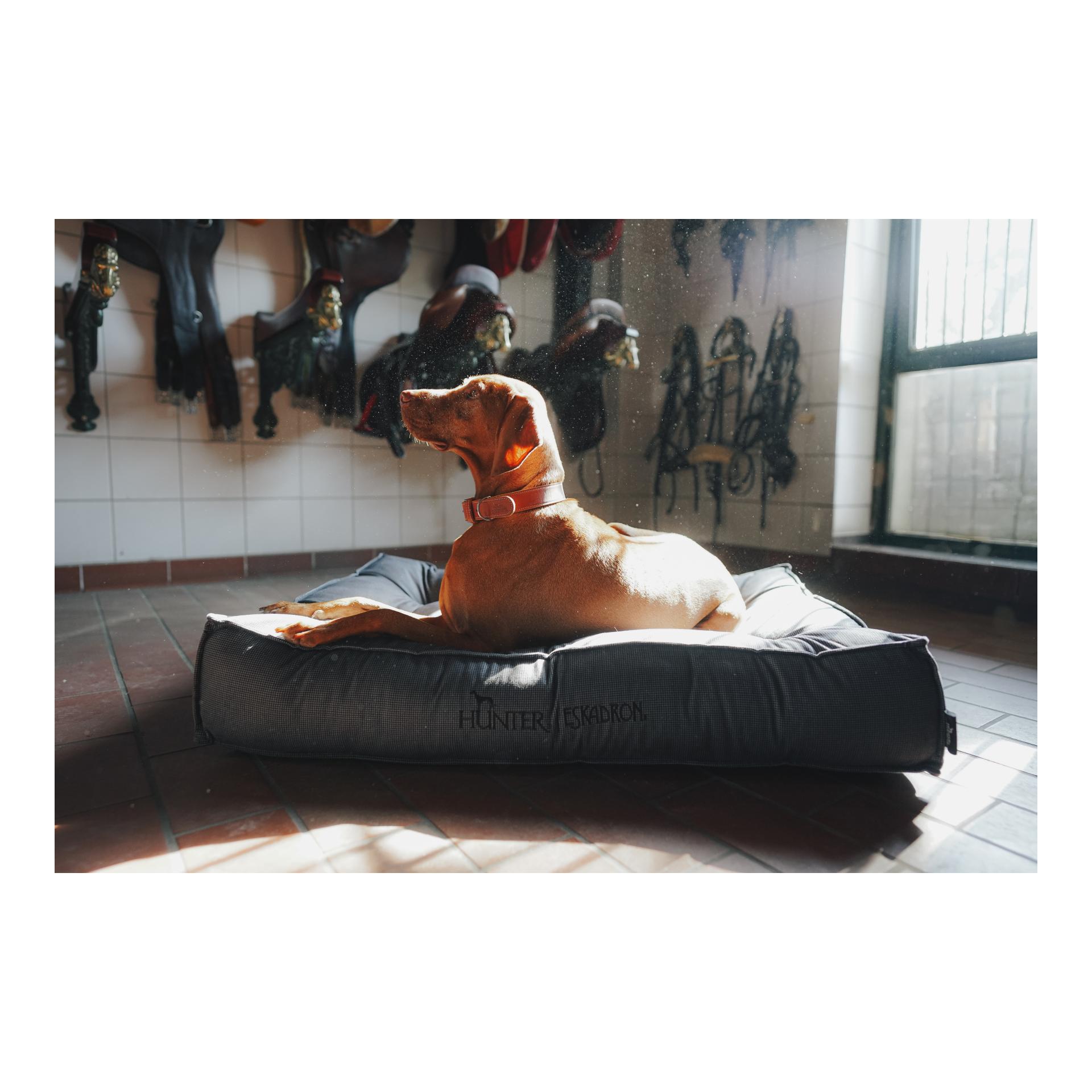 Eskadron Hundebett CHESTER Anthra Checked