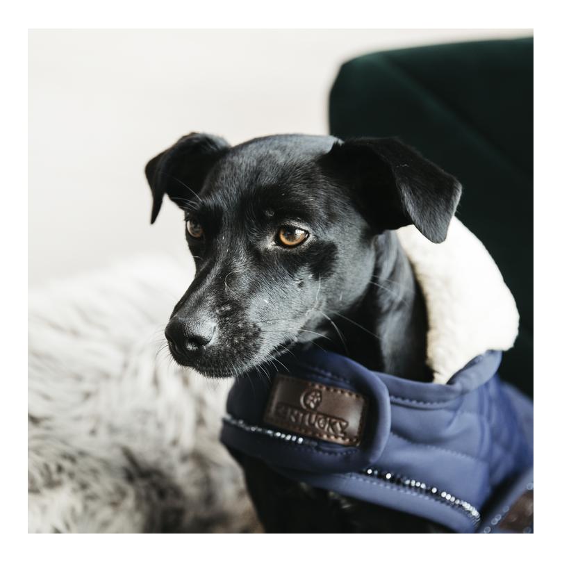 Hundemantel Dog Coat Pearls - navy