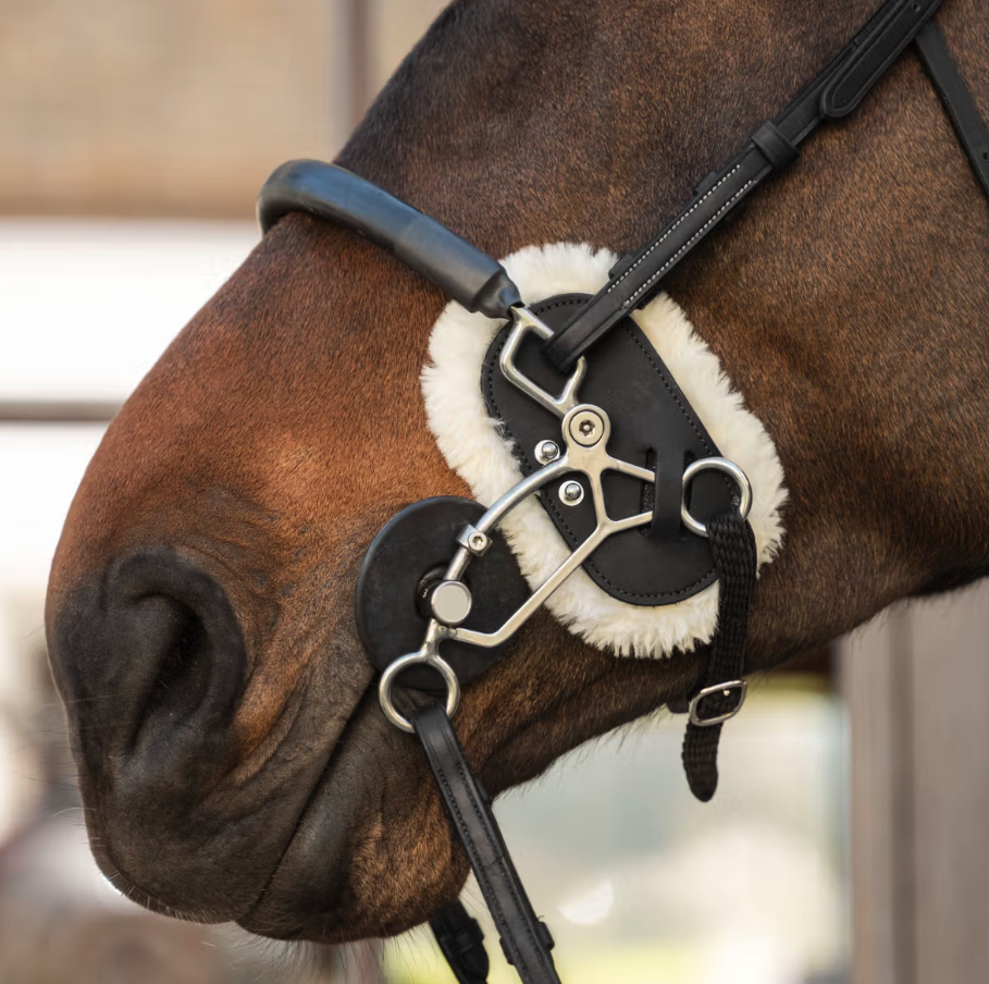 Dy'on Hackamore Schutz Lammfell