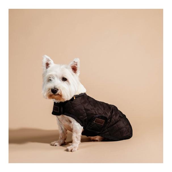 Kentucky Dogwear Manteau pour chien Original - brown