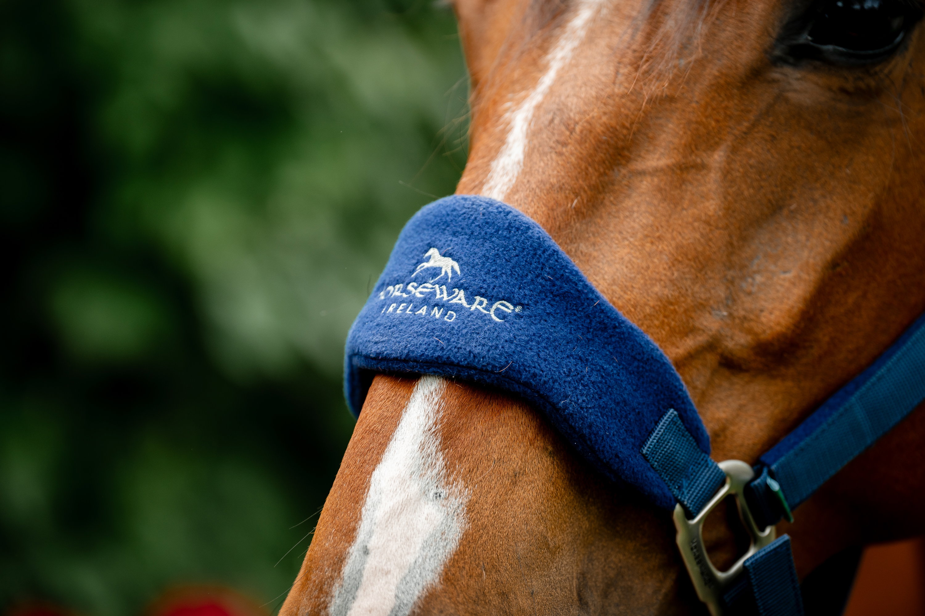 Halfter Grooming Signature