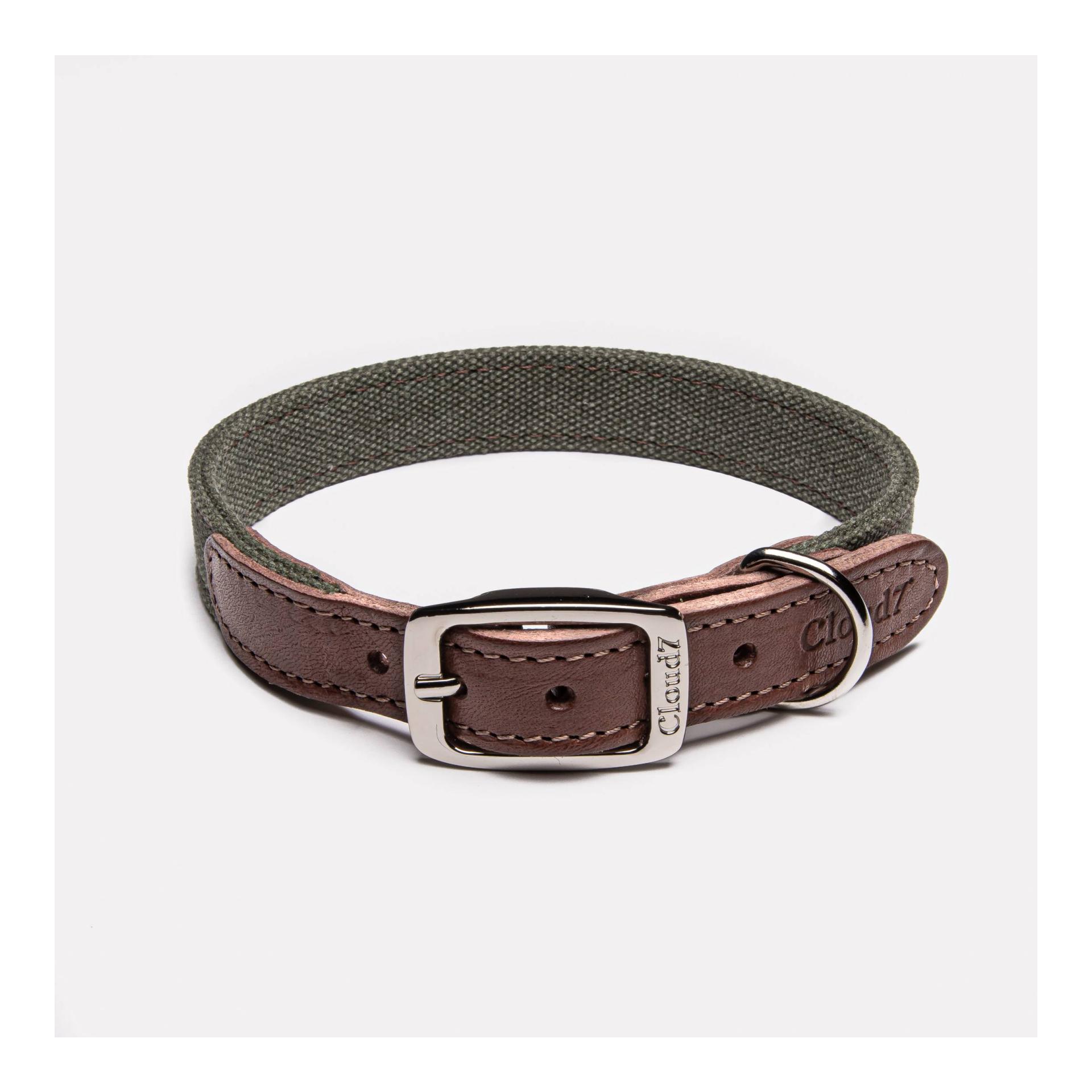 Cloud 7 Collier pour chien Tivoli - olive