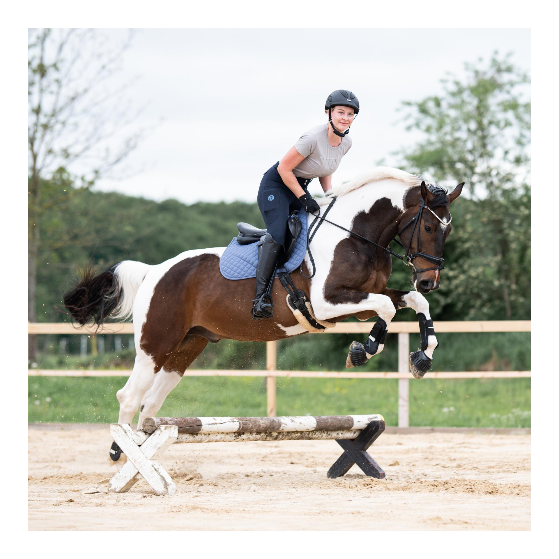 Marengo Reithose Motion Kniegrip