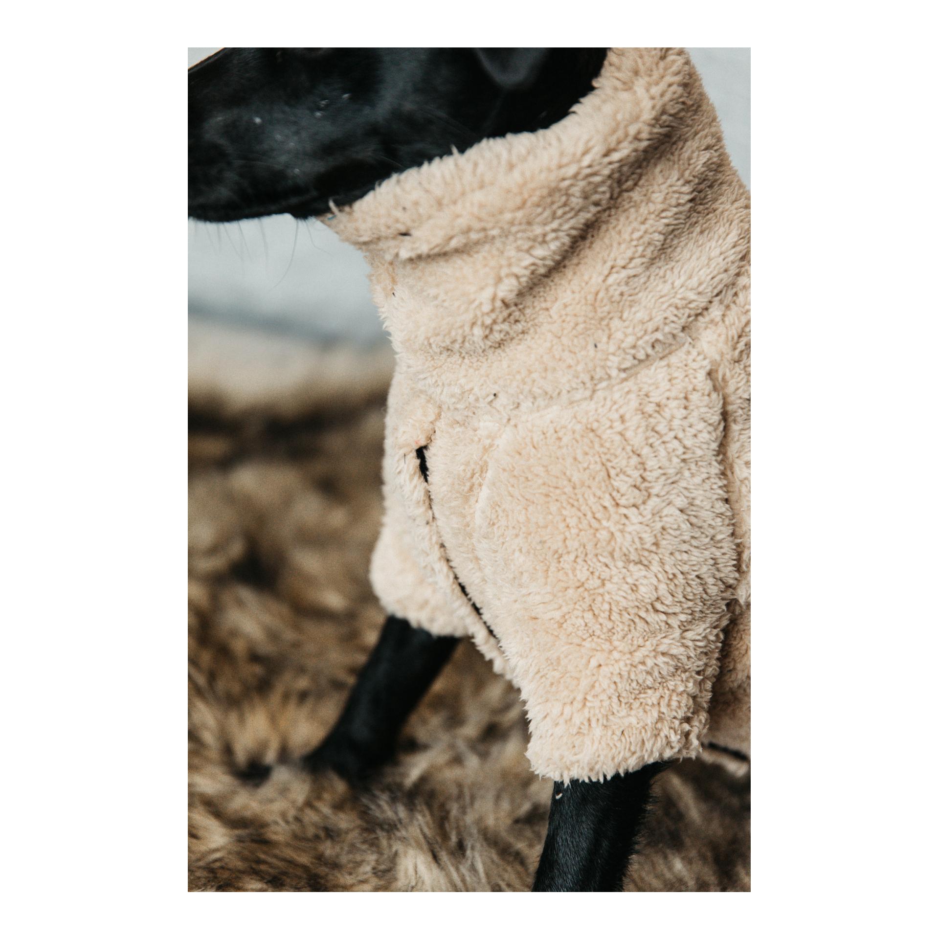 Kentucky Dogwear Pull pour chien Teddy Fleece - beige