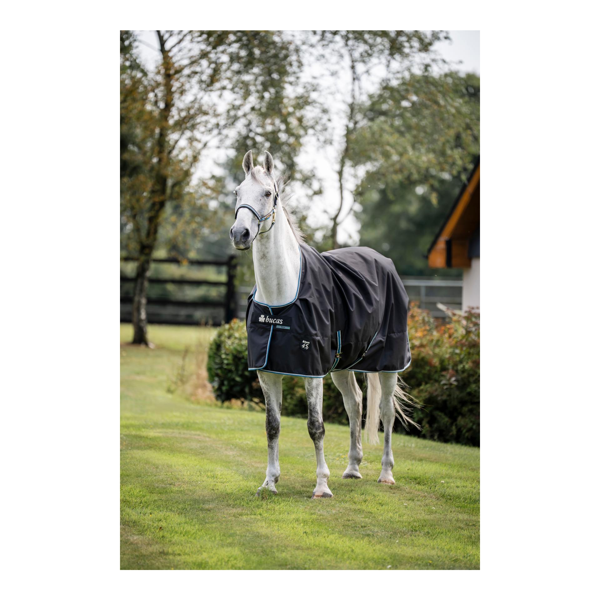 Bucas Couverture d'extérieur Anniversary Turnout 150g SD