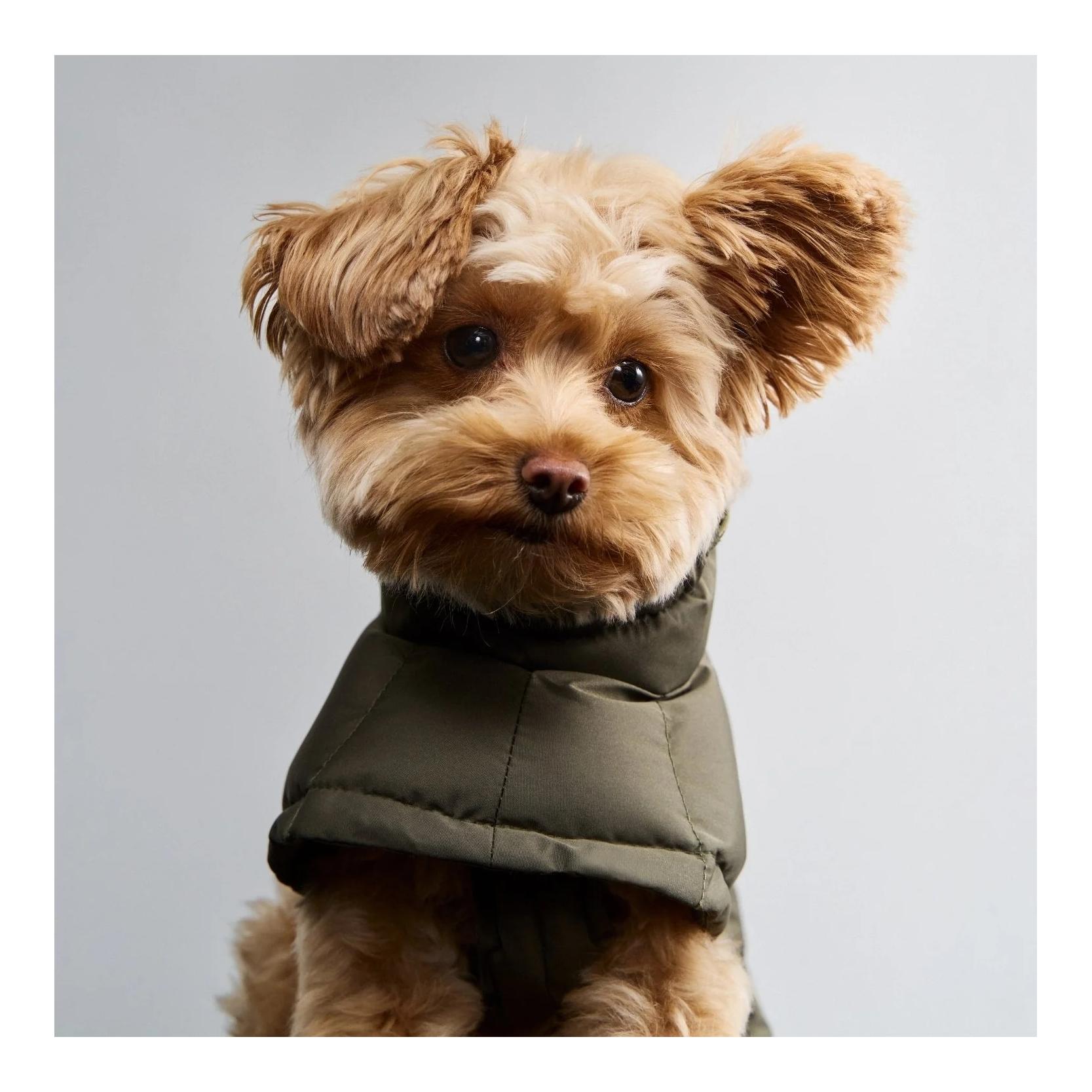 Cloud 7 Winter Hundemantel Everest Regular