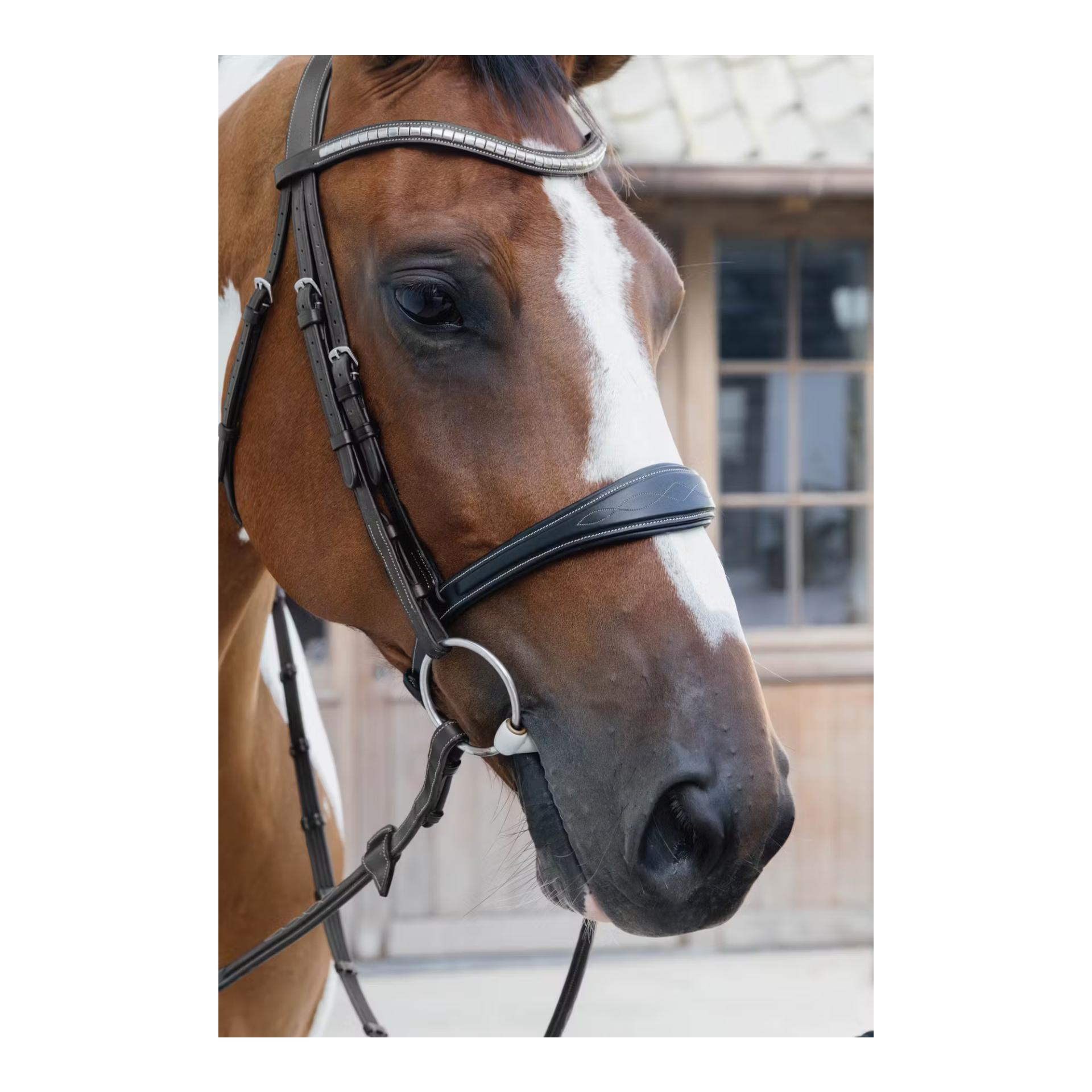 Dy'on Anatomic noseband without flash Jumping