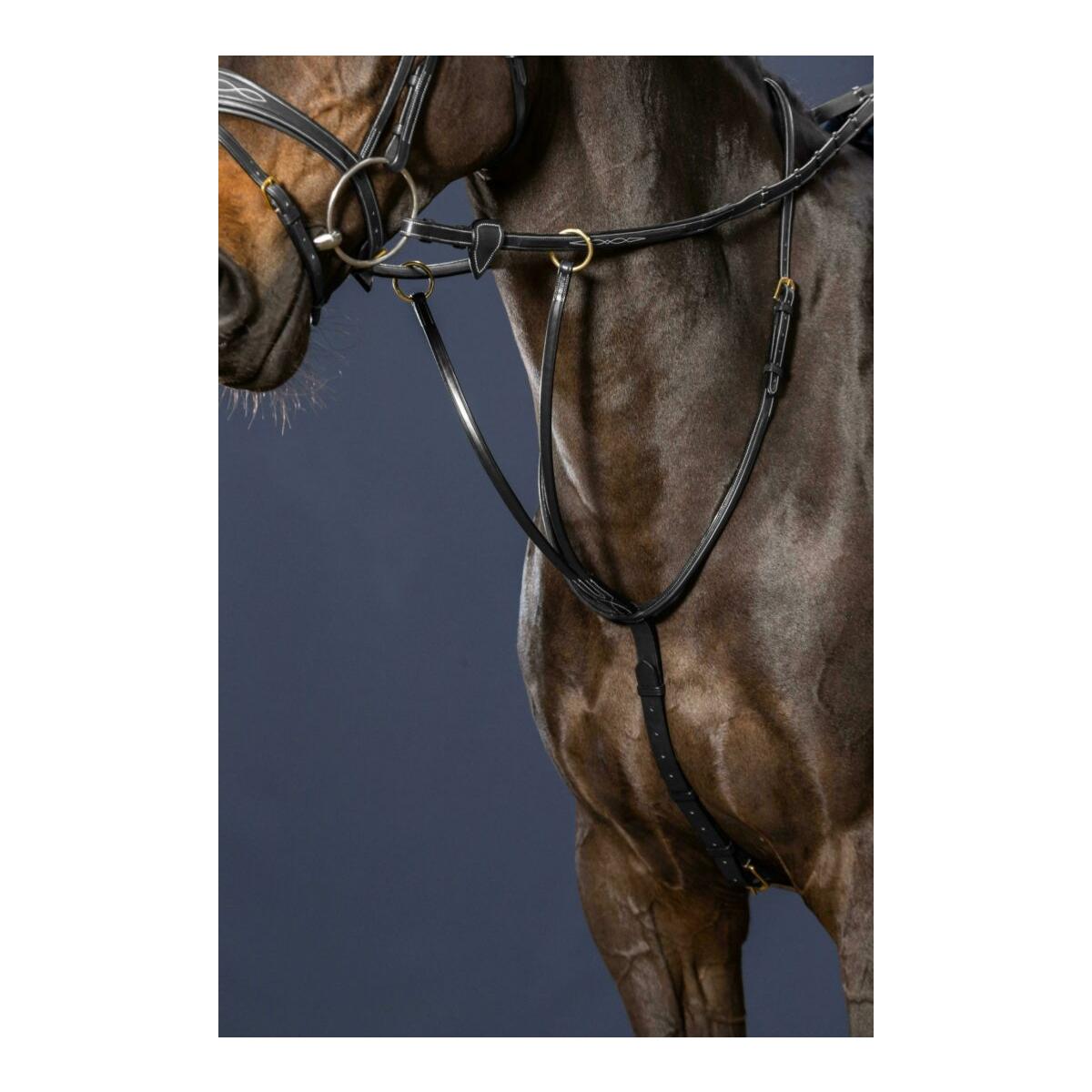Dy'on Gleitendes Ringmartingal