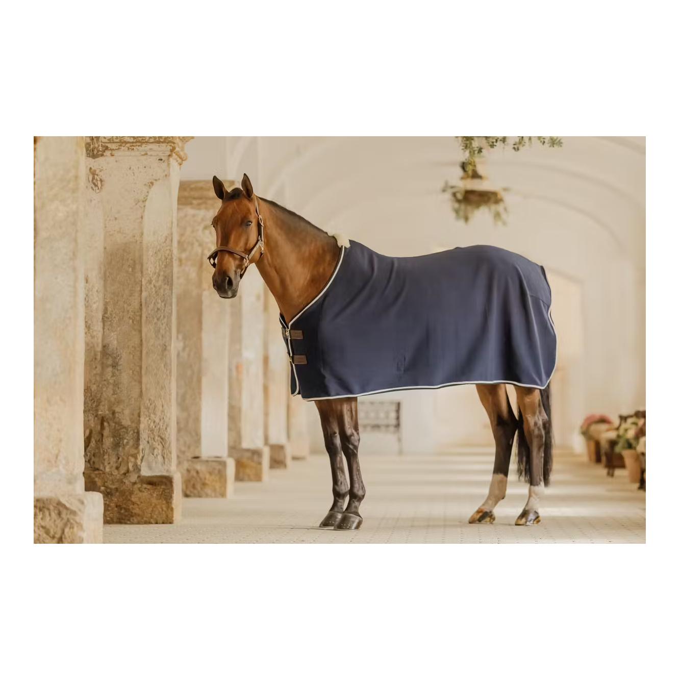 Kentucky Abschwitzdecke Show vegan wool