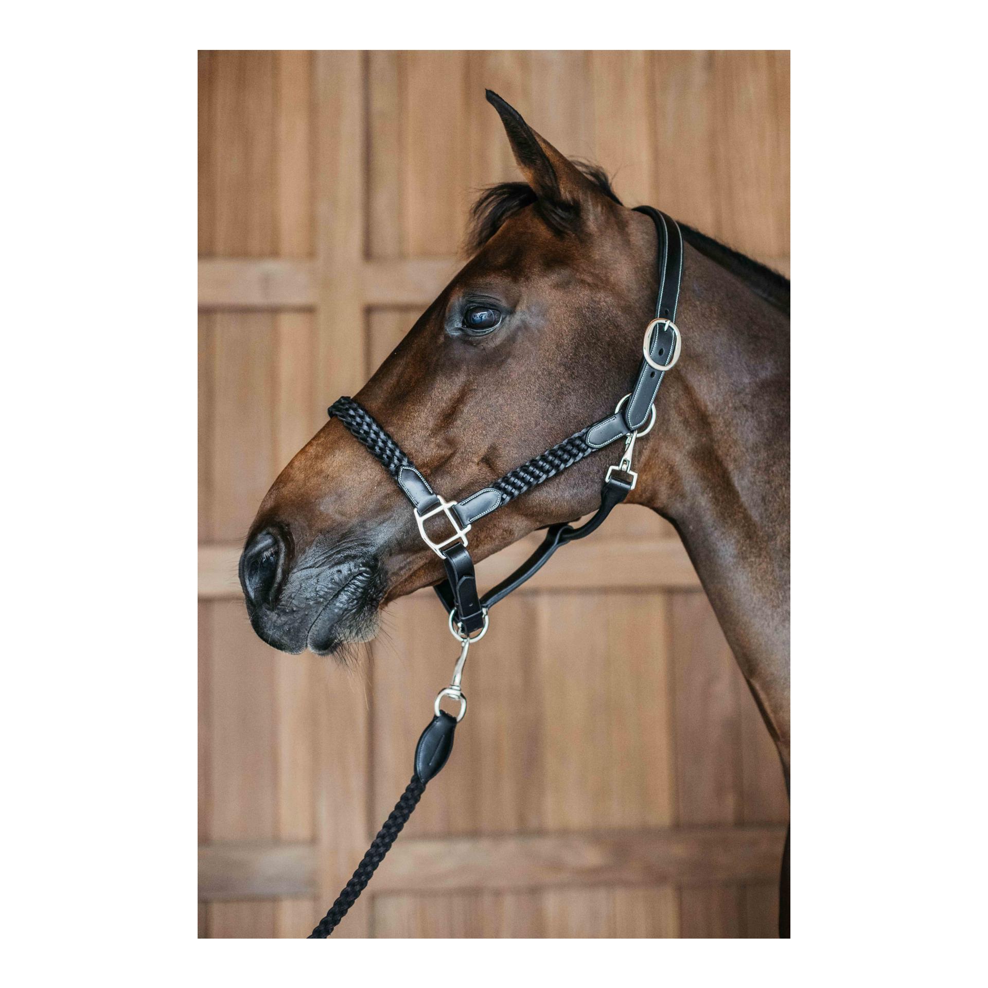 Halfter Plaited