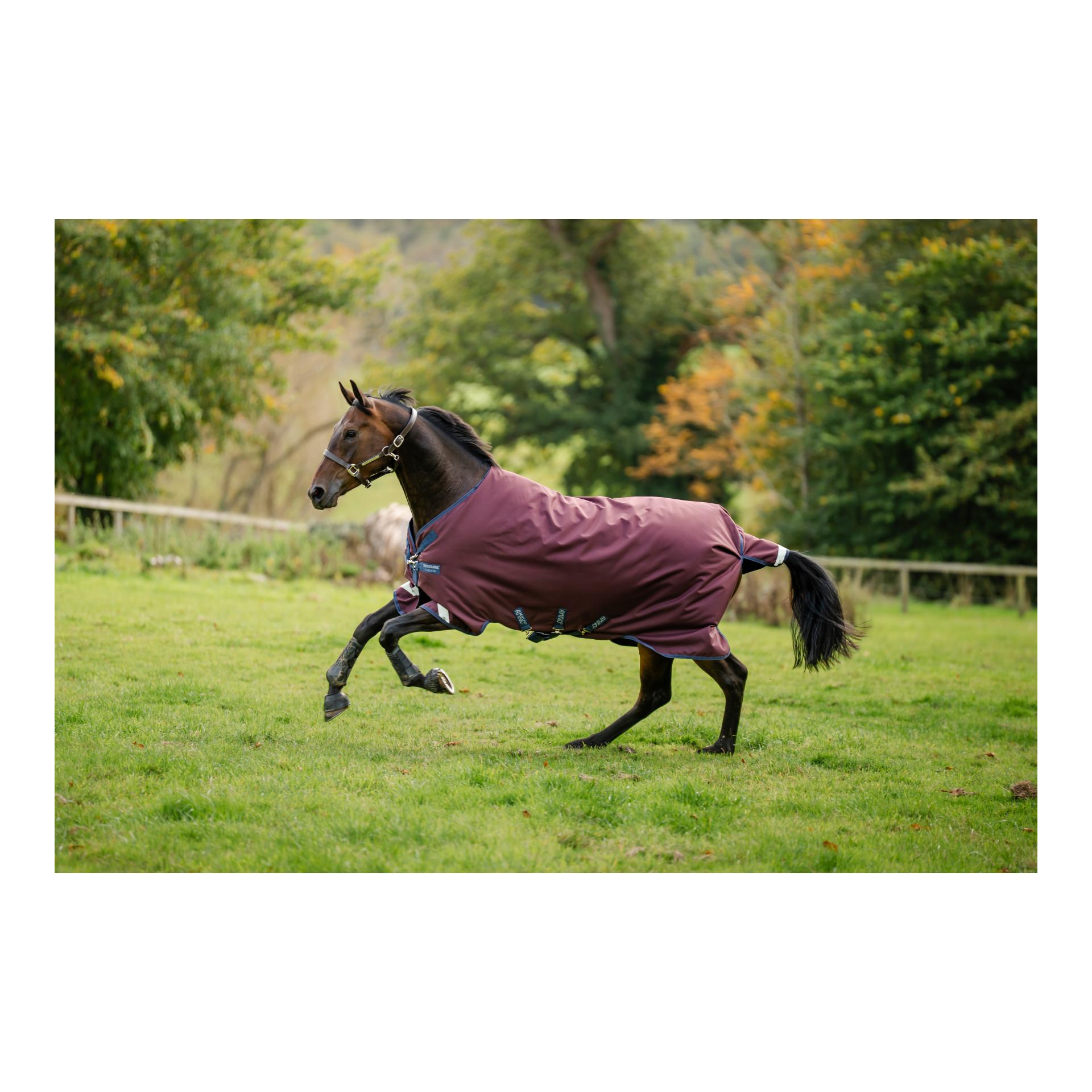Horseware Couverture d'extérieur Amigo 1200D, 250 g