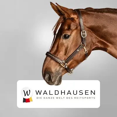 reitsport-marken-Waldhausen
