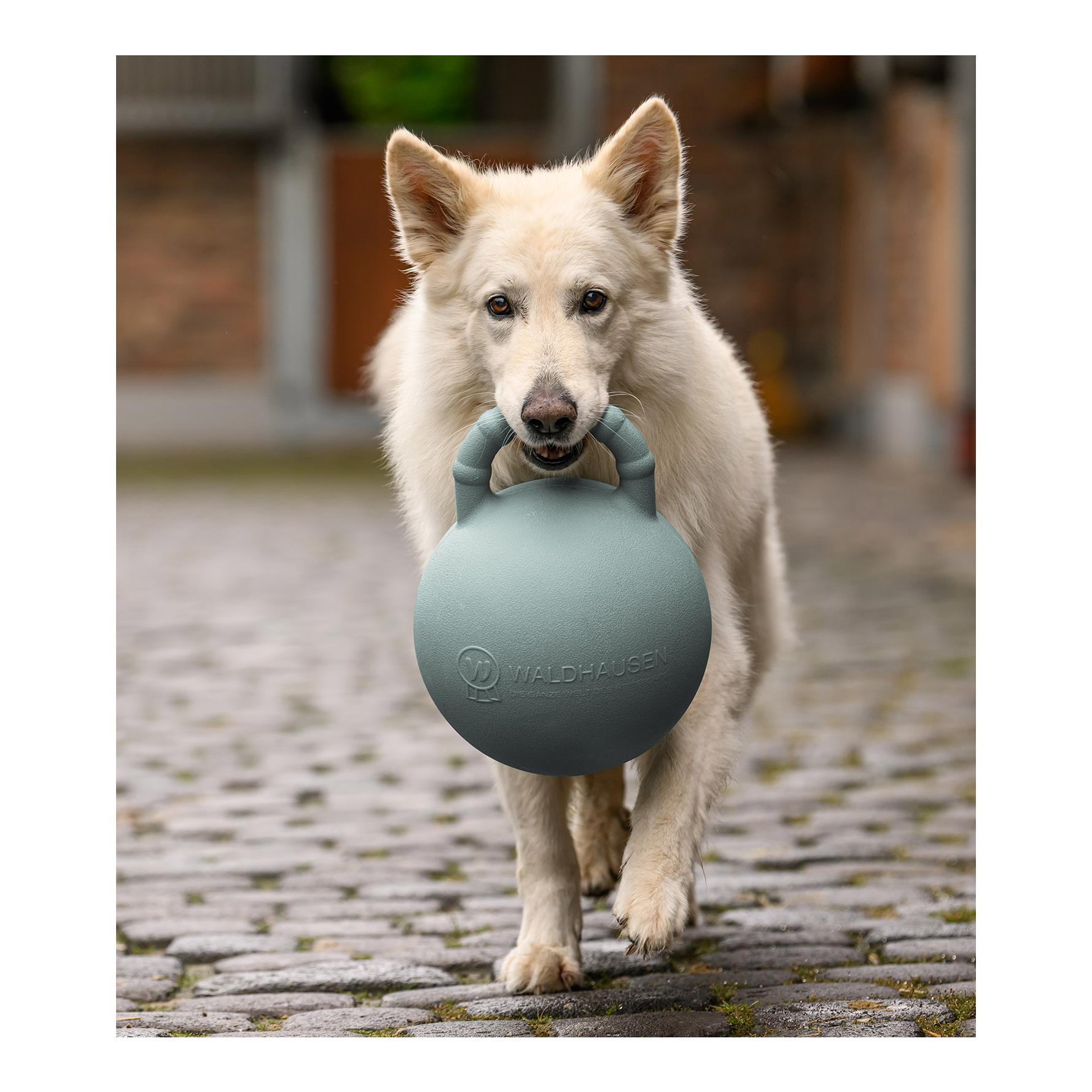 Waldhausen Fun Ball