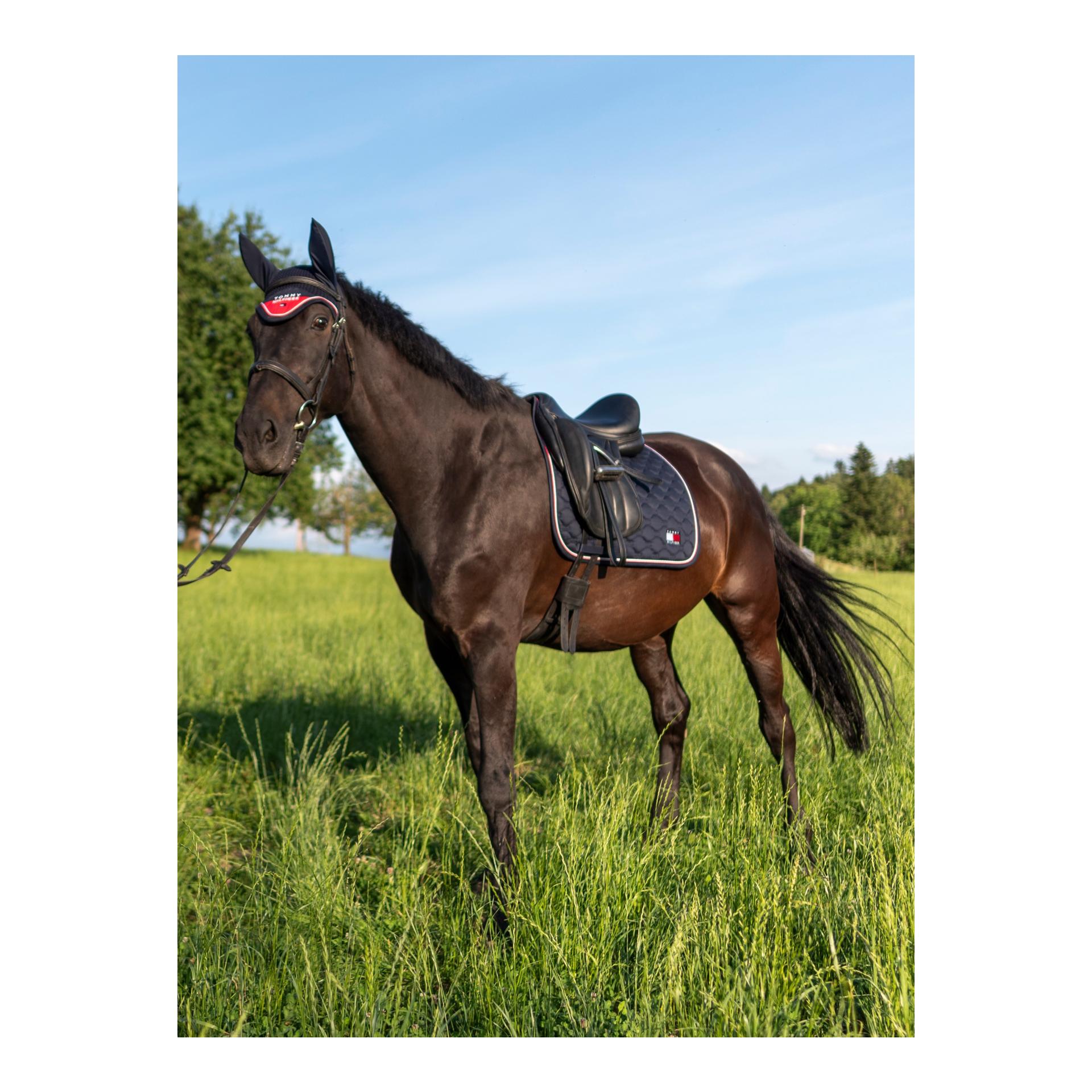Tommy Hilfiger Equestrian Chabraque de dressage Kingston