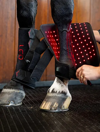RS-Start-LED-Rotlichttherapie