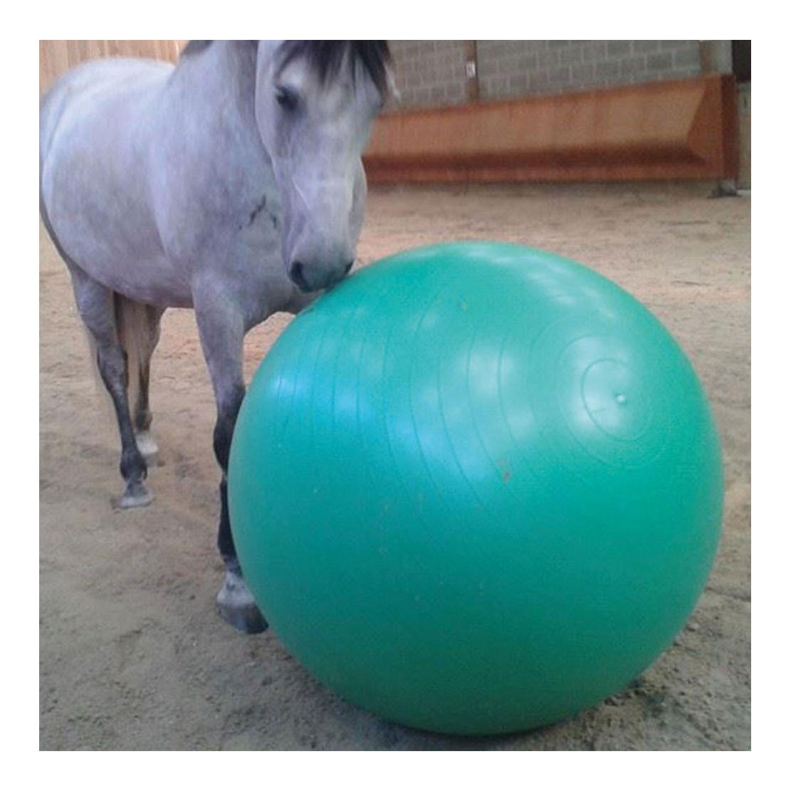 Equip Horse Spiellball