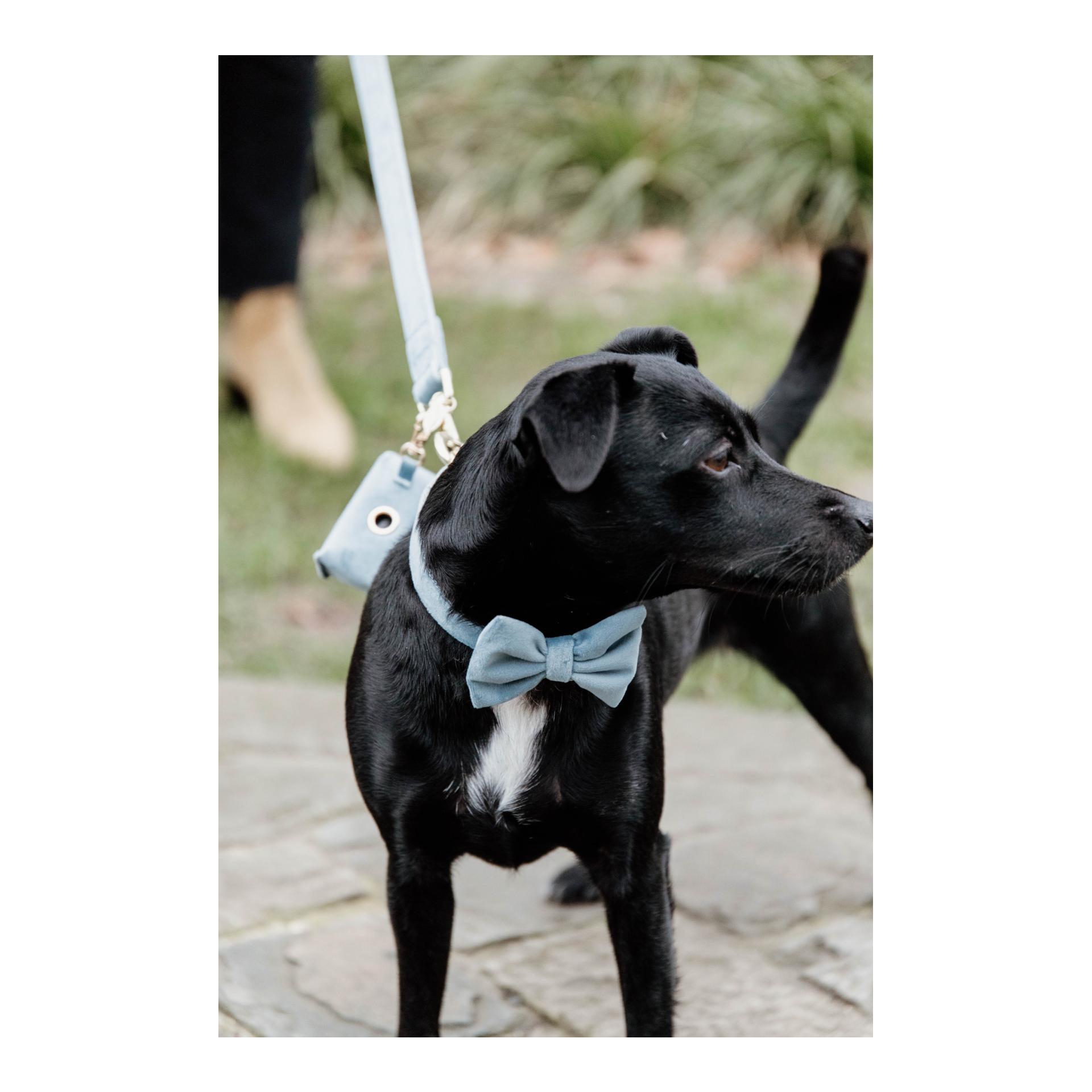 Kentucky Dogwear Distributeur de sacs à crottes Velvet Square