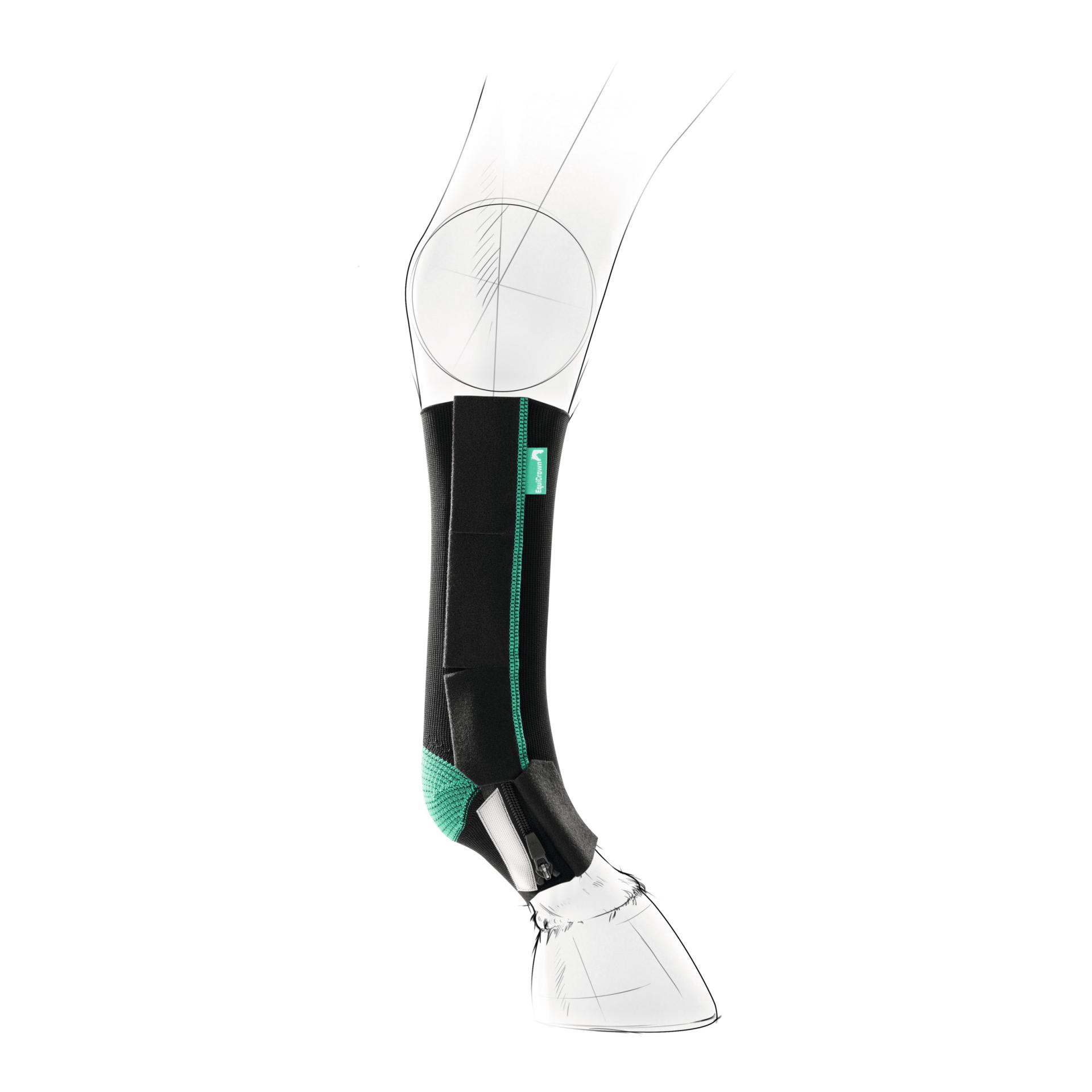 EquiCrown Kompressionsbandage active - vorne, Reissverschluss - grün