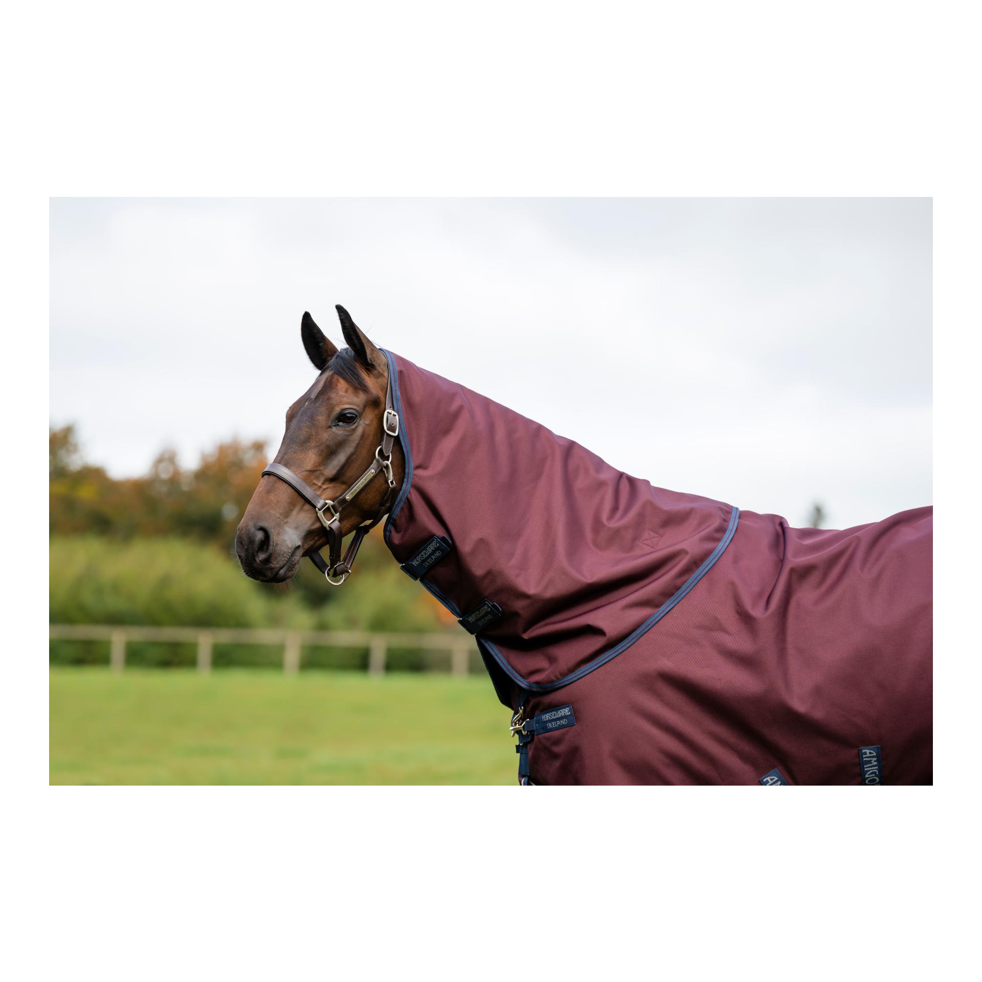 Horseware Weidedecke mit Halsteil Amigo 12 Plus 250g