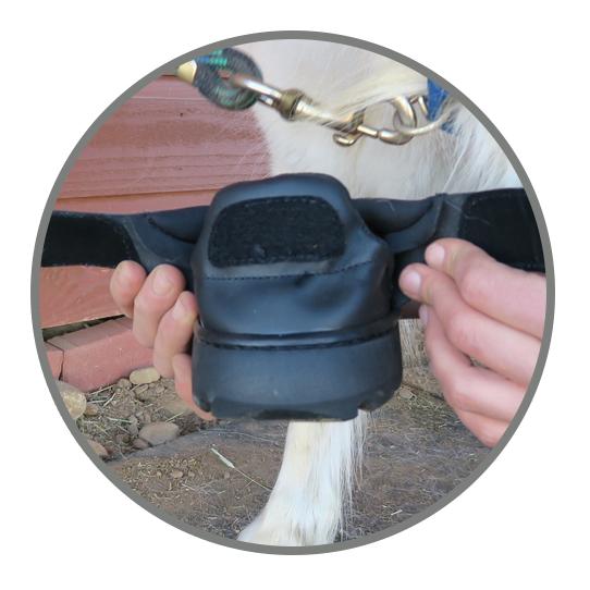 Easyboot Mini hipposandales