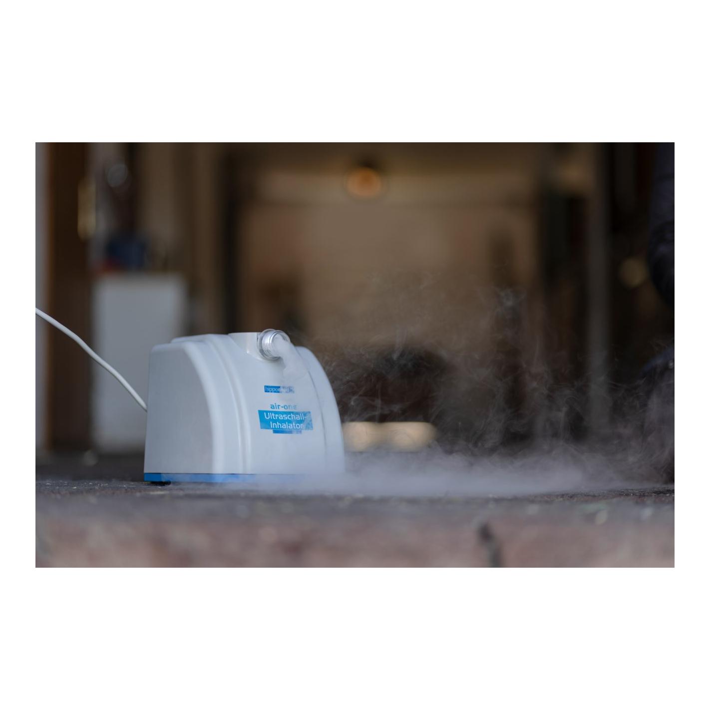 Hippomed Ultraschall-Inhalator für Pferde AirOne