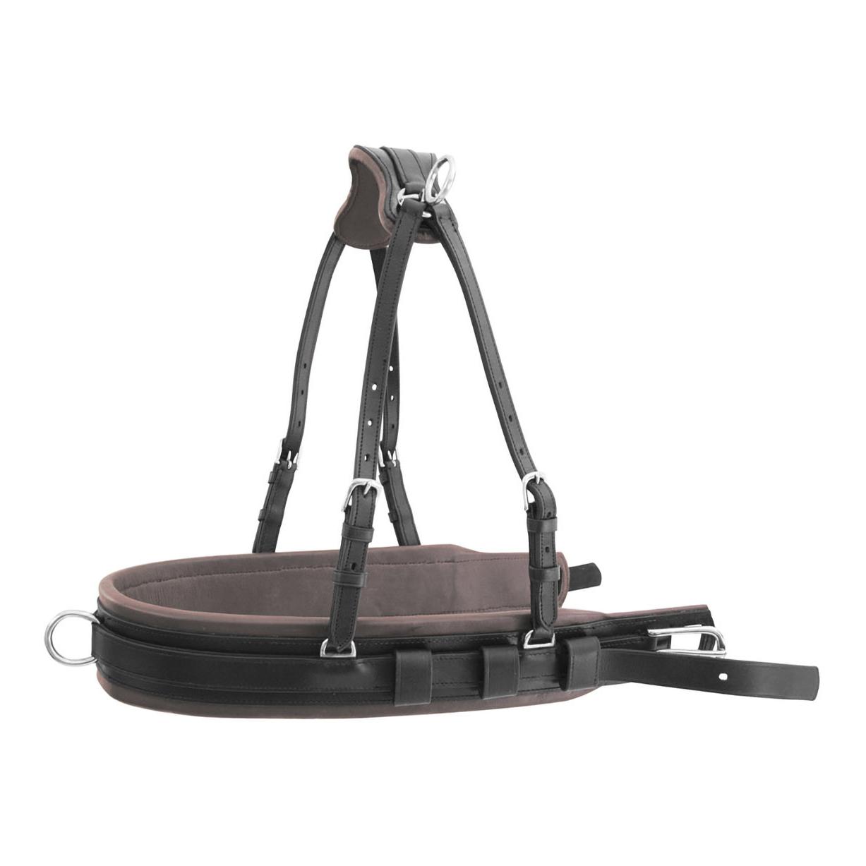 Equestro Pectoral rembourré en cuir