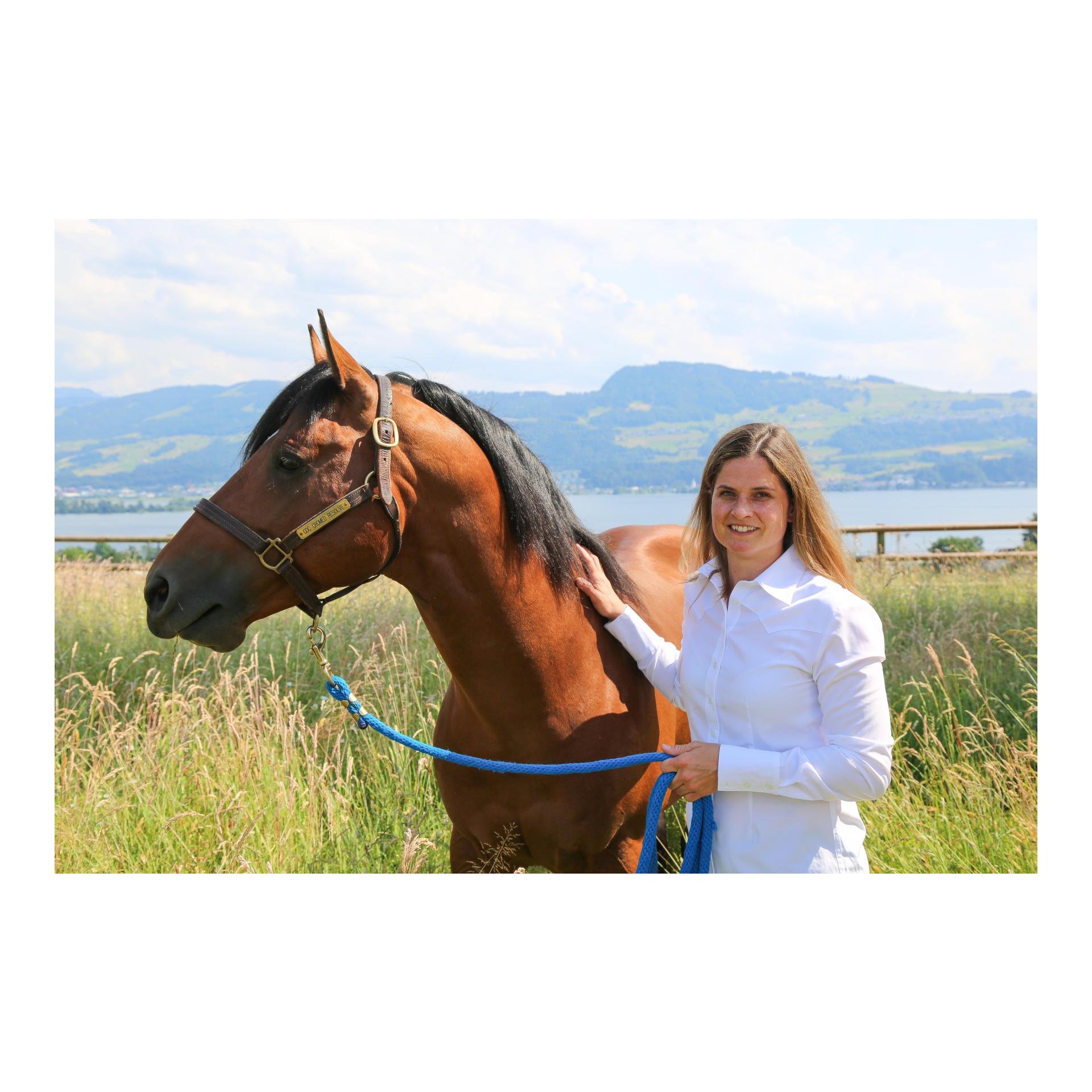 reitsport.ch Buch Geheimnis wahrer Reitkunst