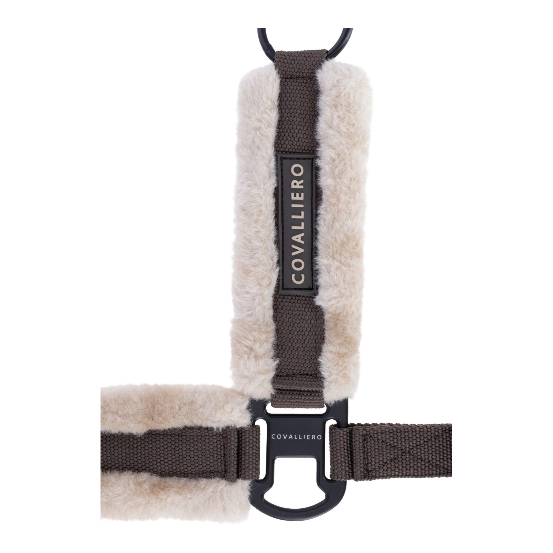 Covalliero Licol Soft A/H 2026