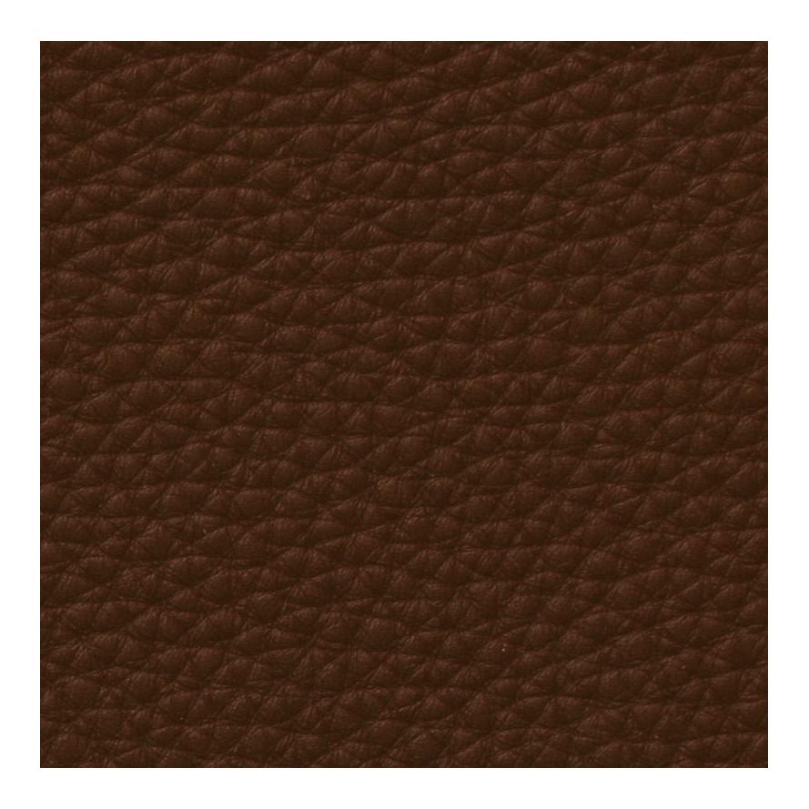 Stübben Steigbügelriemen Deluxe - ebony