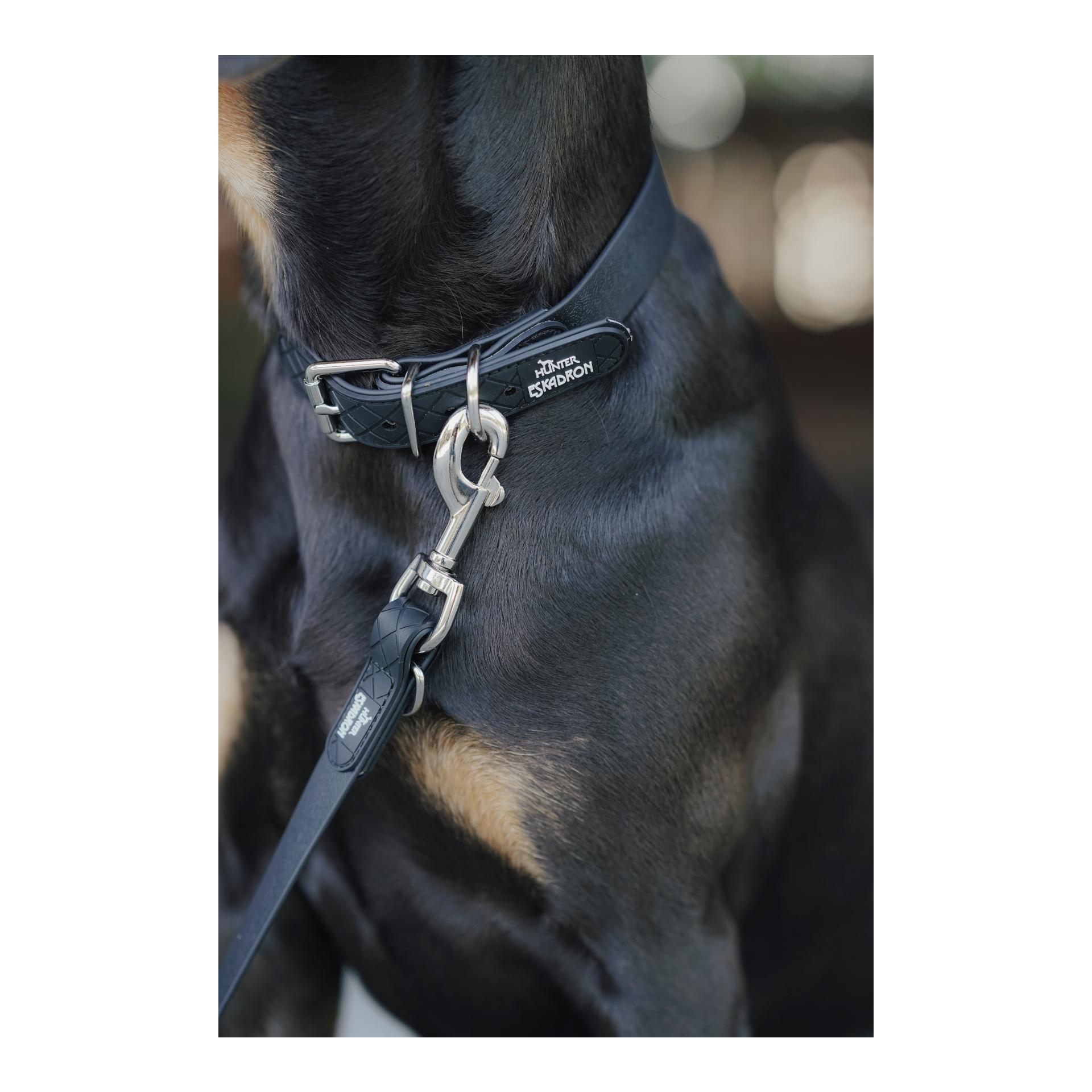 Eskadron Hundehalsband SPARK