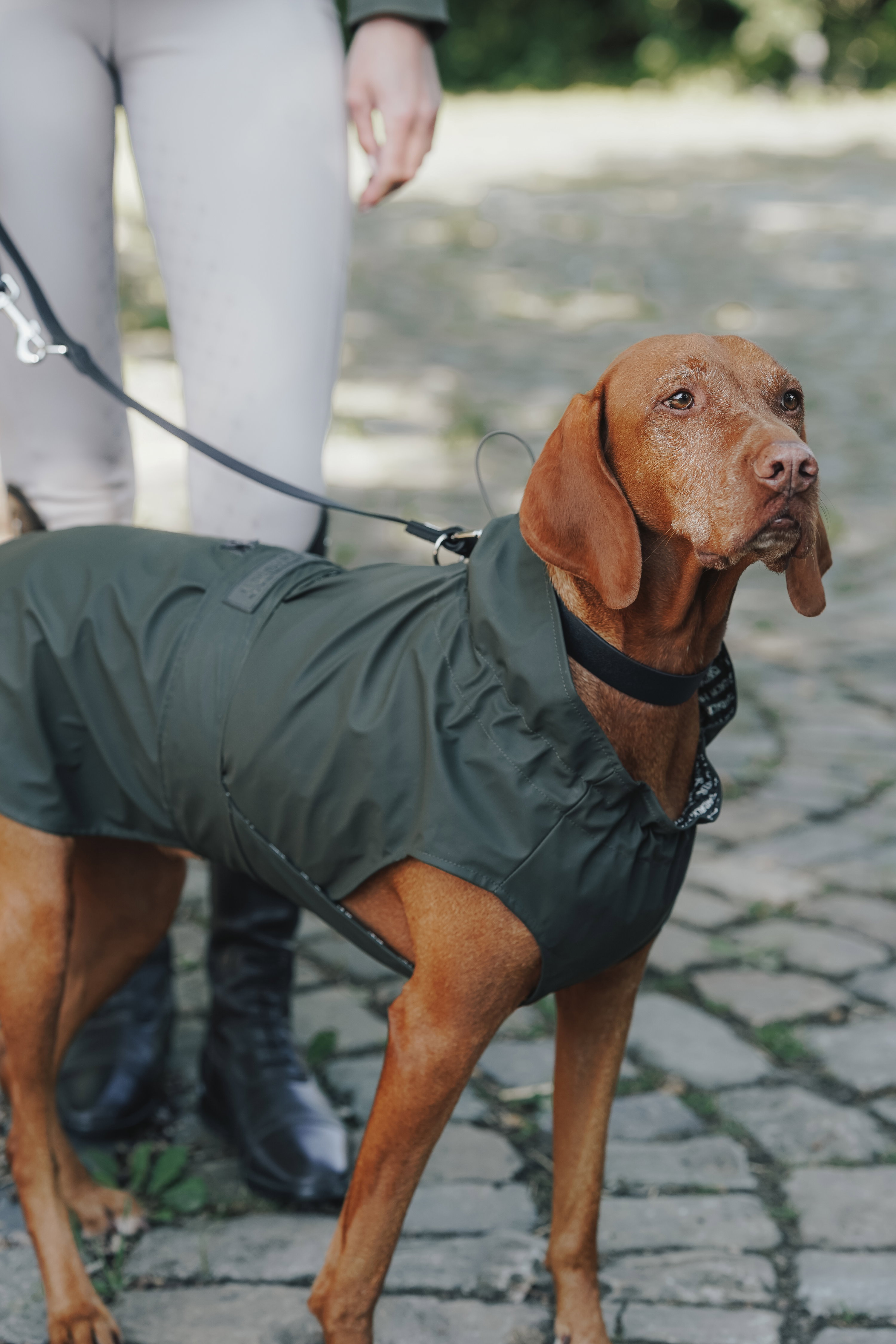 Eskadron Hunde Regenmantel Rainshield HUNTER