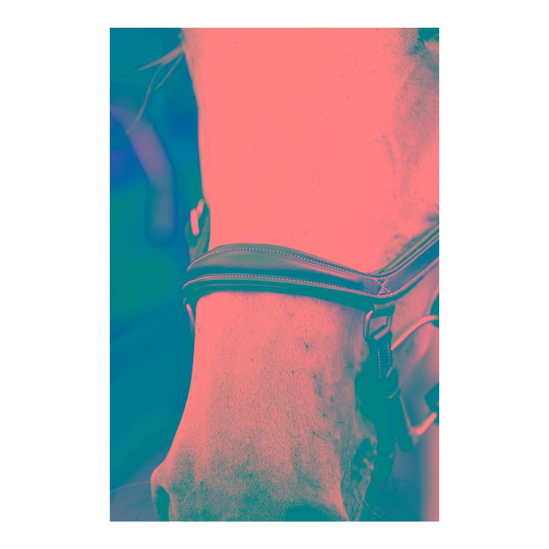 Horseware Zaum Micklem Deluxe